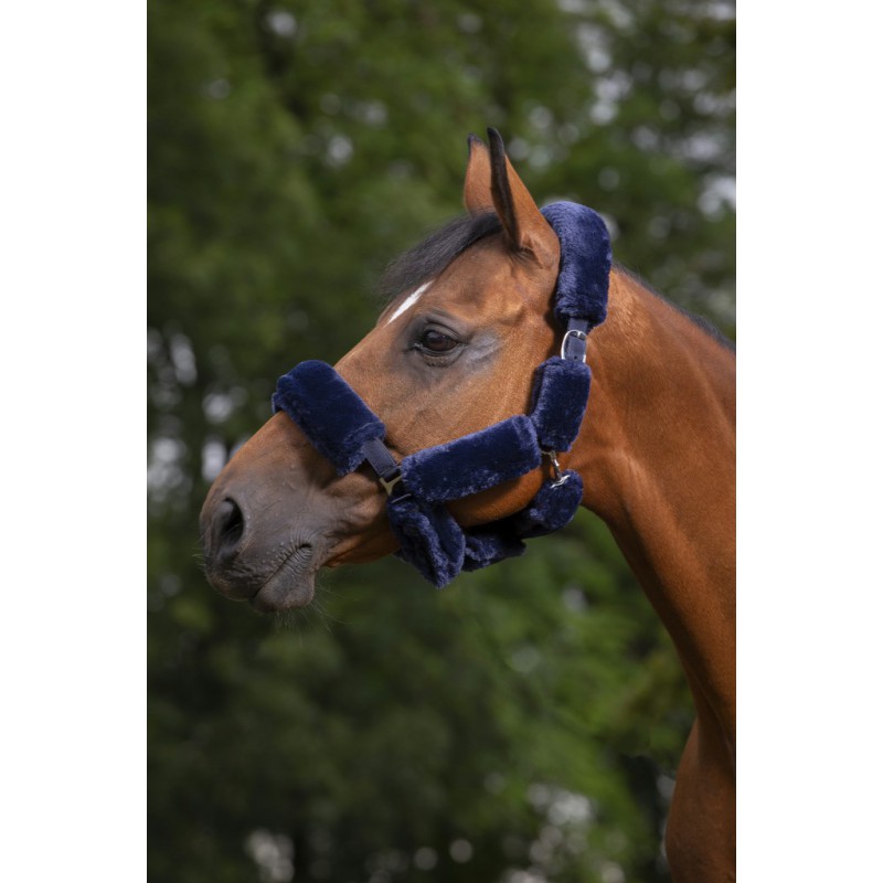 Kantaro paminštinimų komplektas