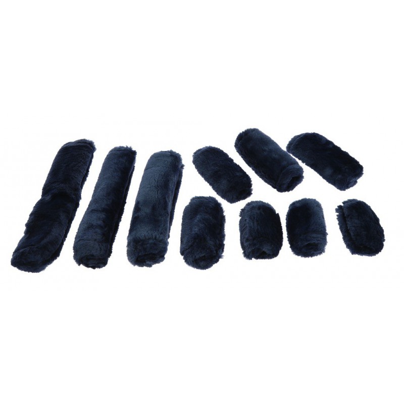 Kantaro paminštinimų komplektas