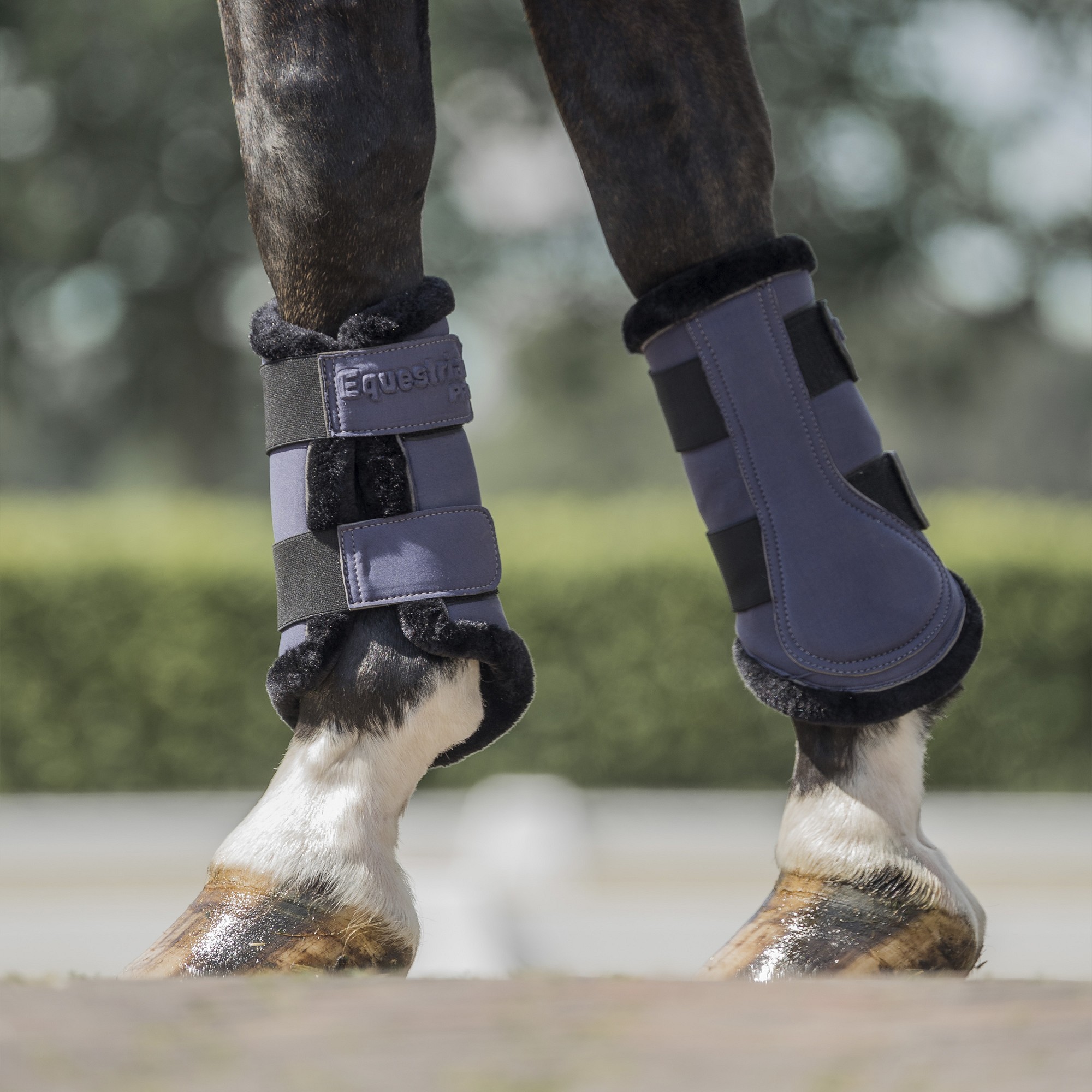 Equestrian PRO apsaugos