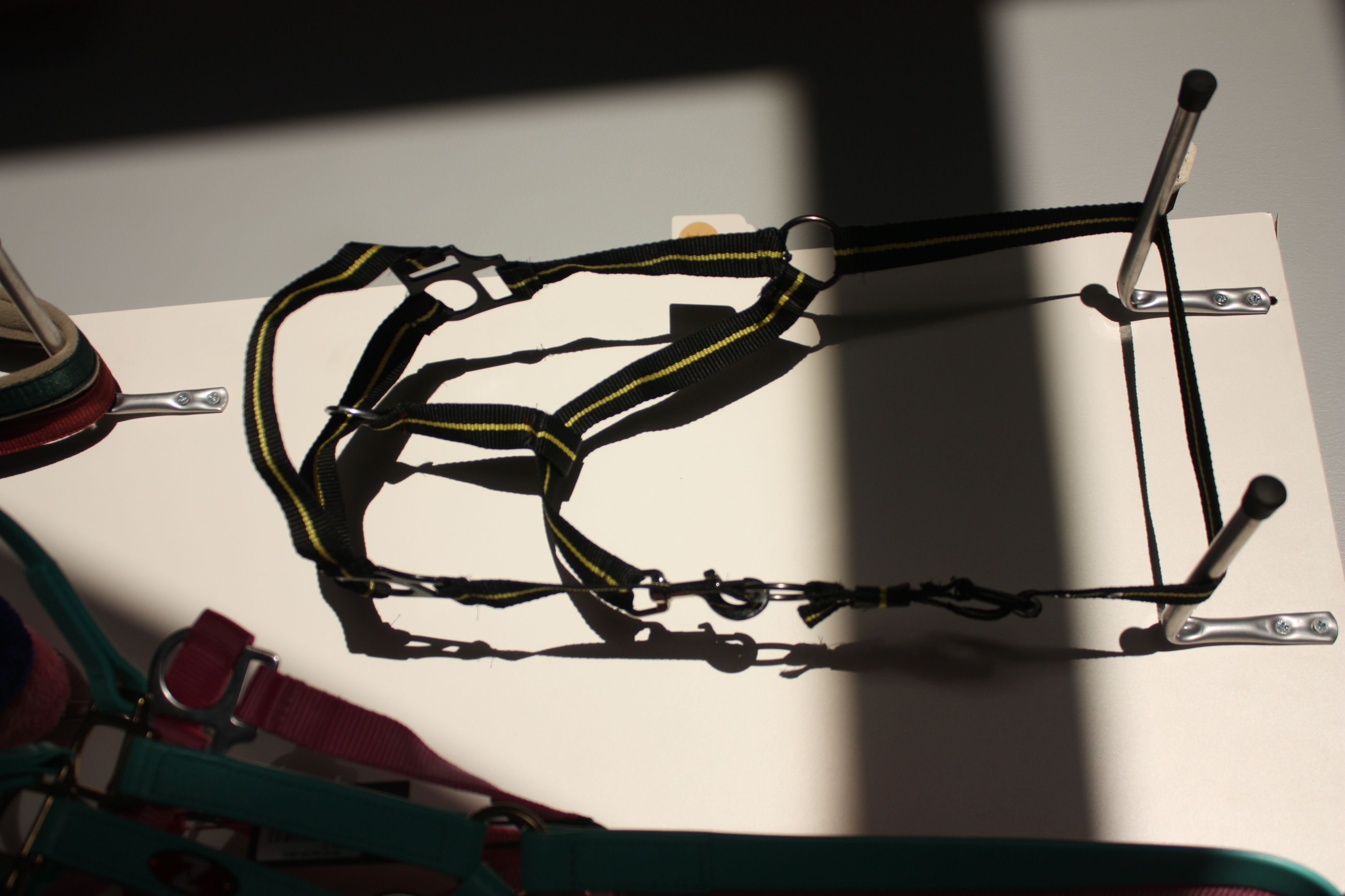 Kantaras geltona/juoda