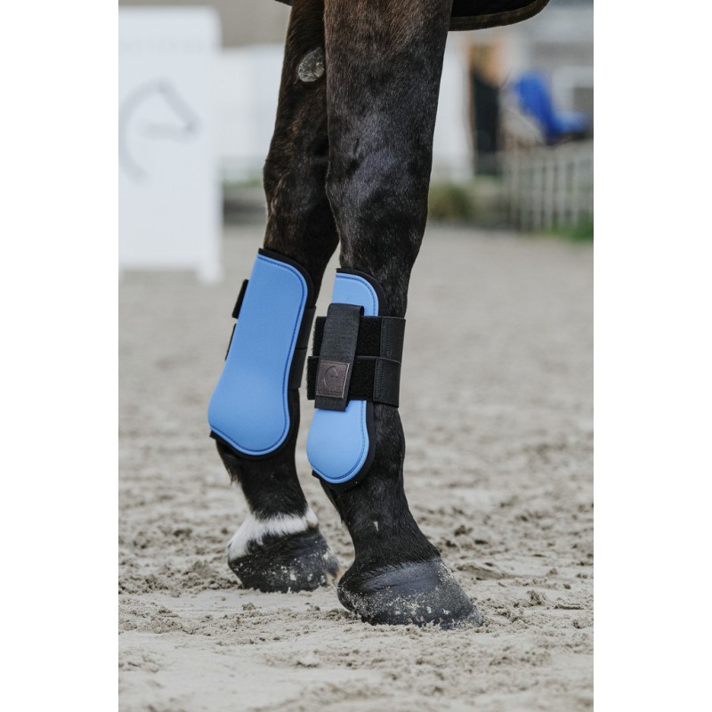 EQUITHÈME - Tara apsaugos