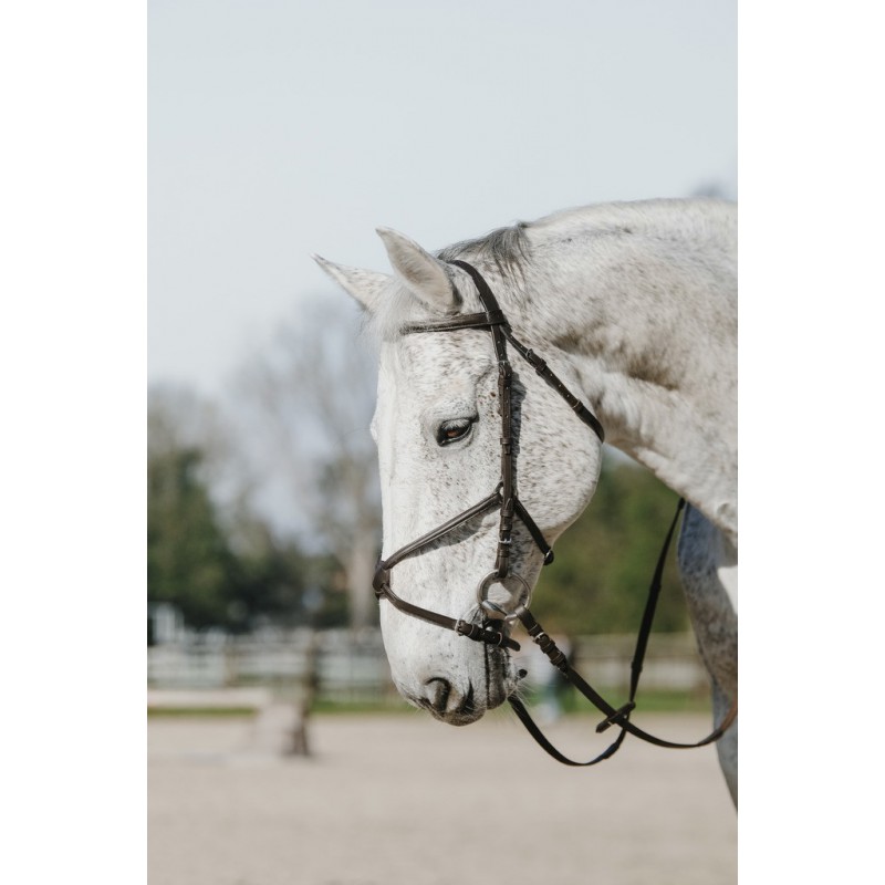 "Muserolle Croisée" kamanos