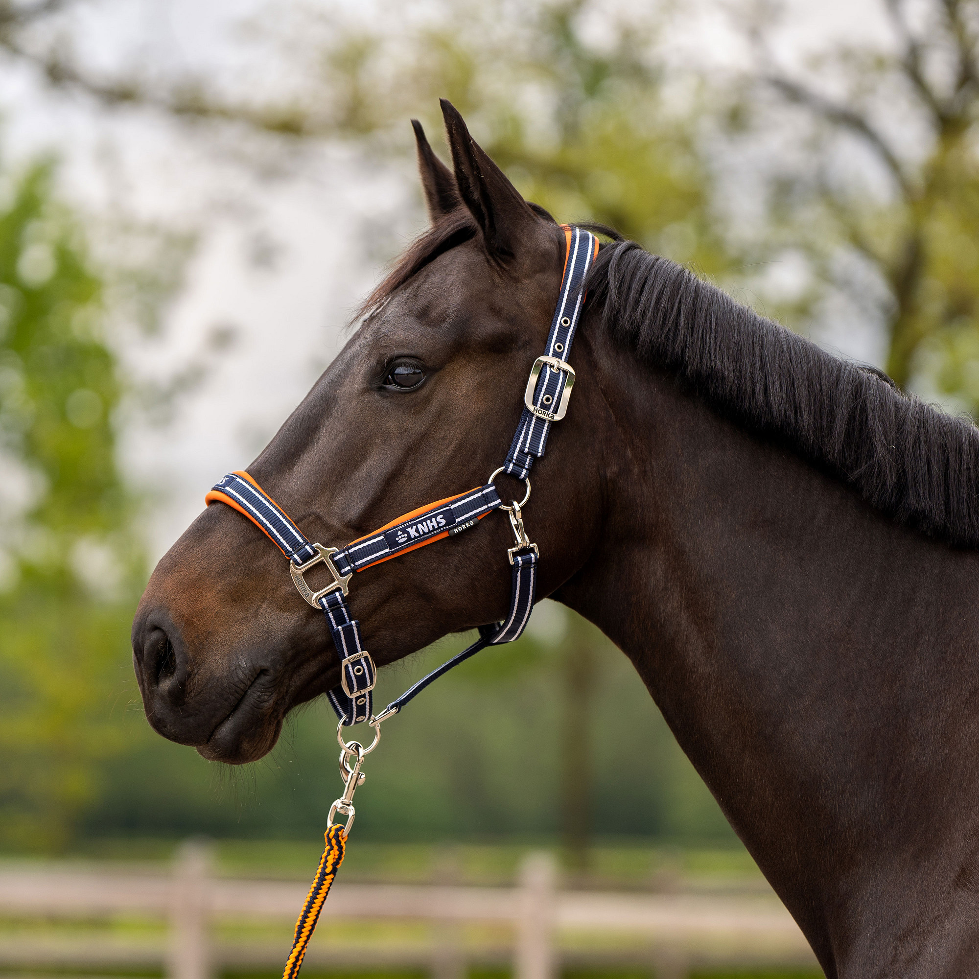  KNHS Kantaro ir virvės komplektas 