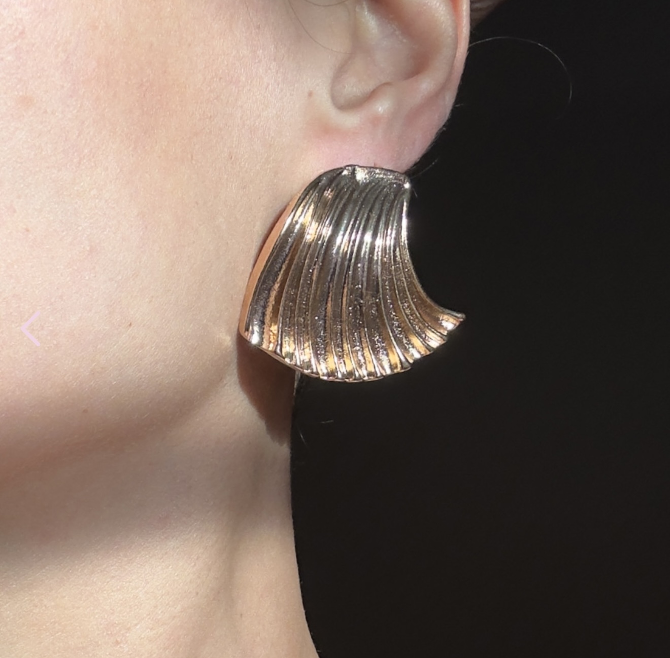 Leaf Earrings