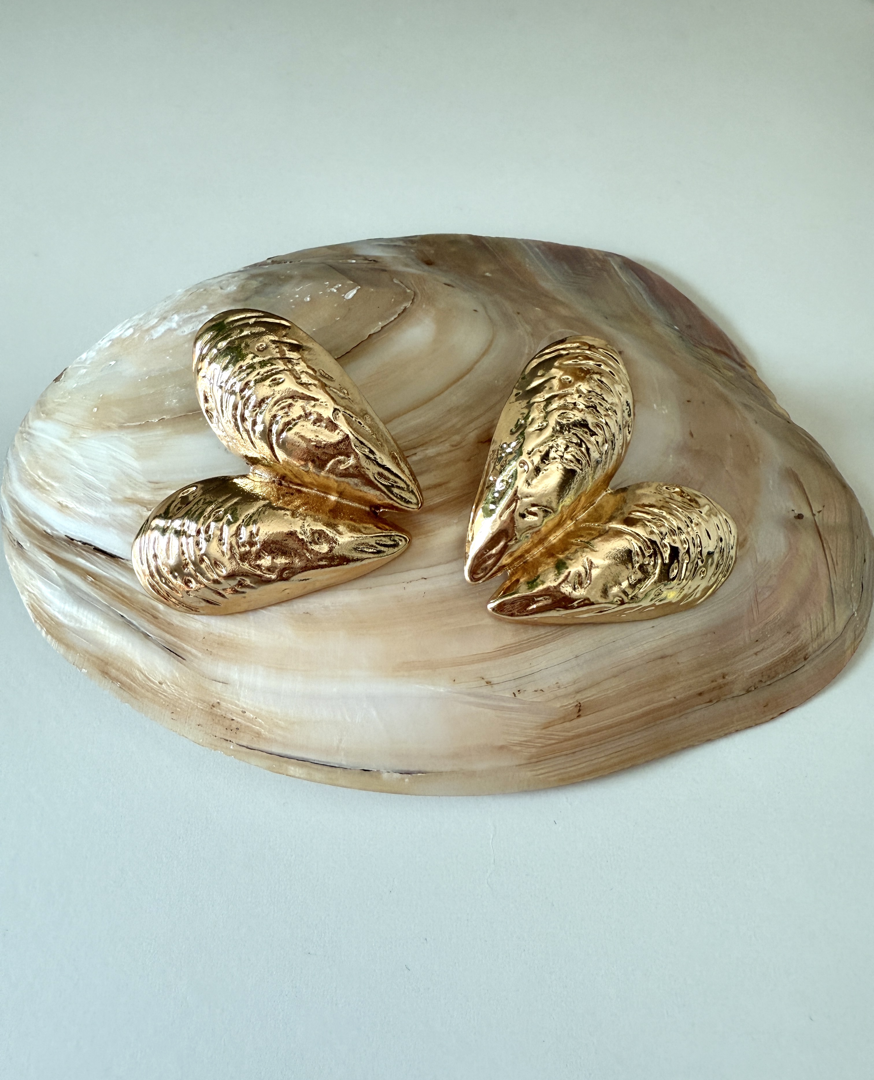 Statement Sea Shell Decorative Earrings