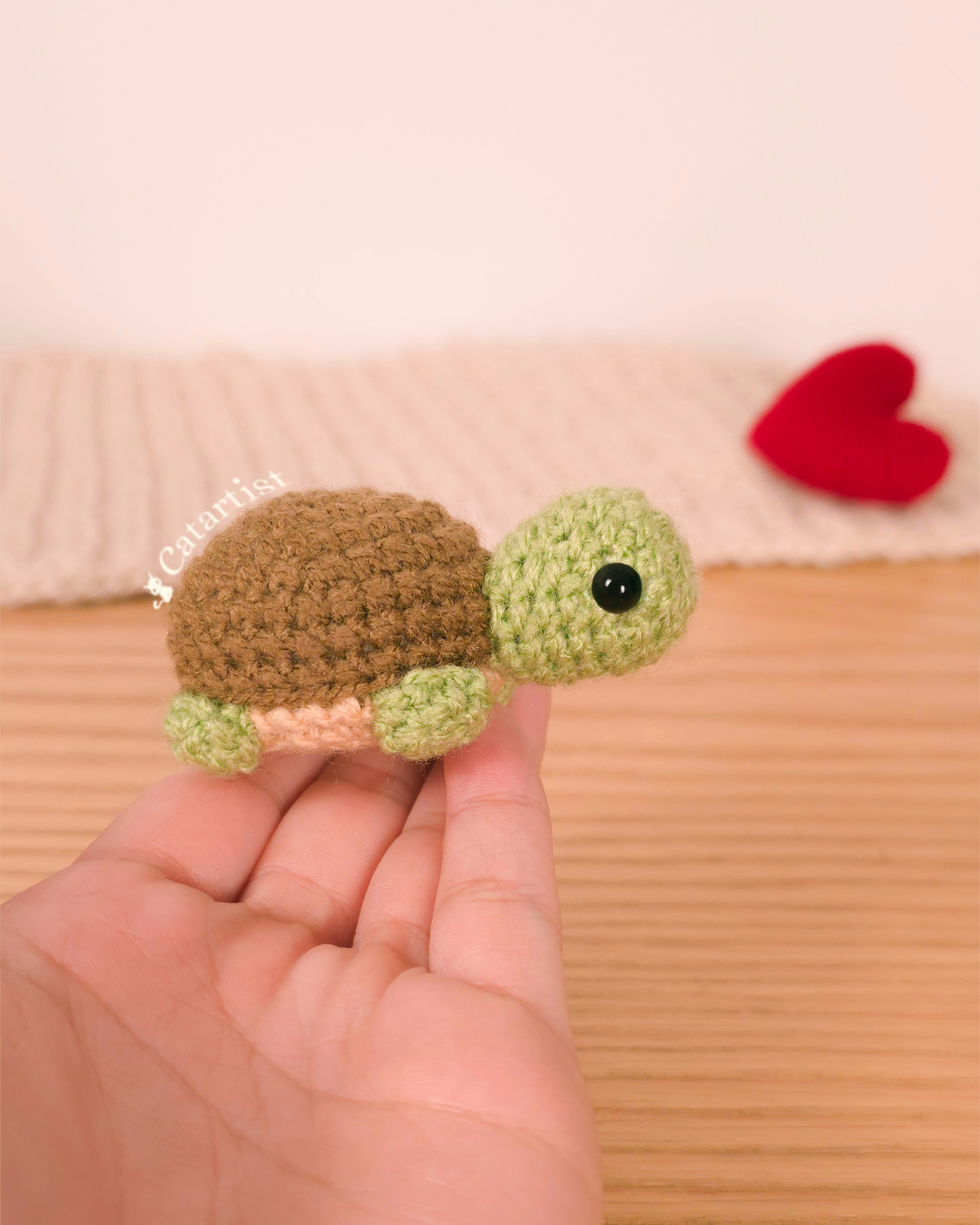 Tortuga bebé