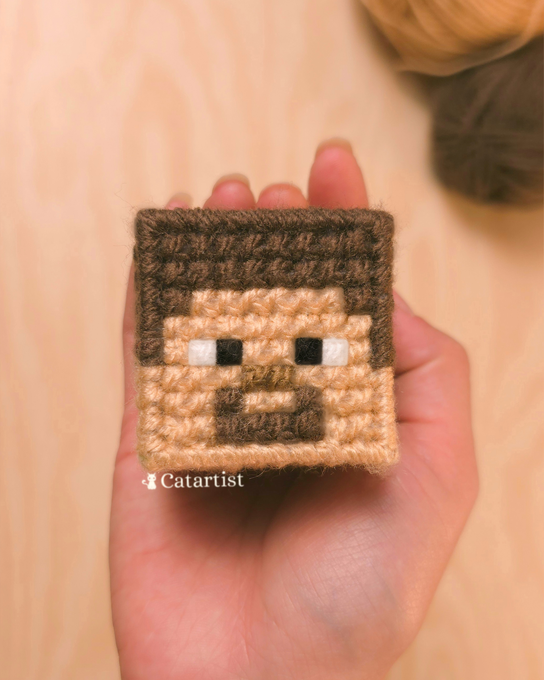 Steve Minecraft