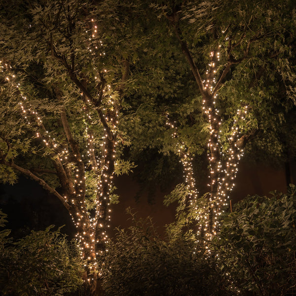 Smart Tree Lights