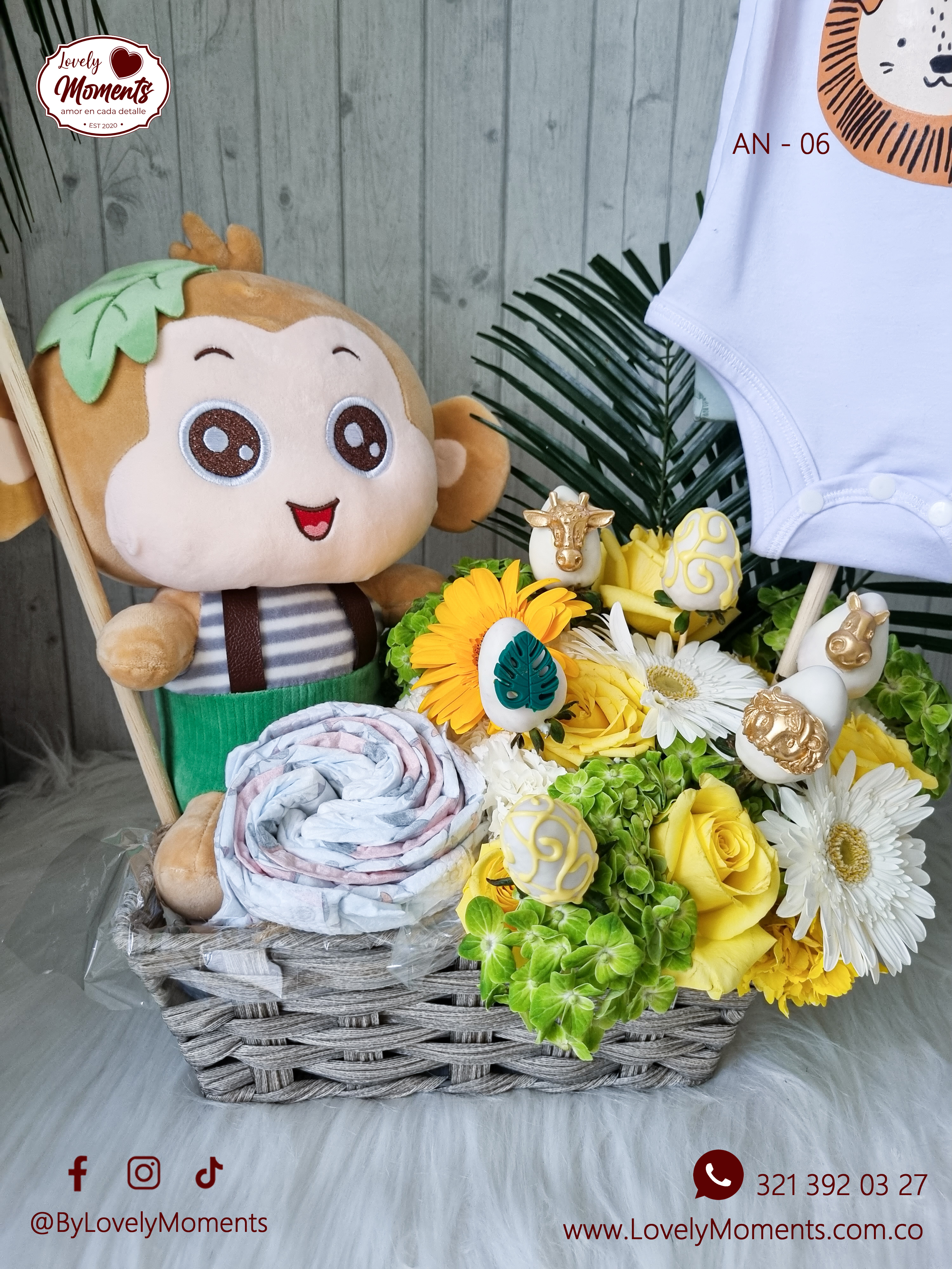Ancheta Recién Nacido - Regalos para Baby Shower