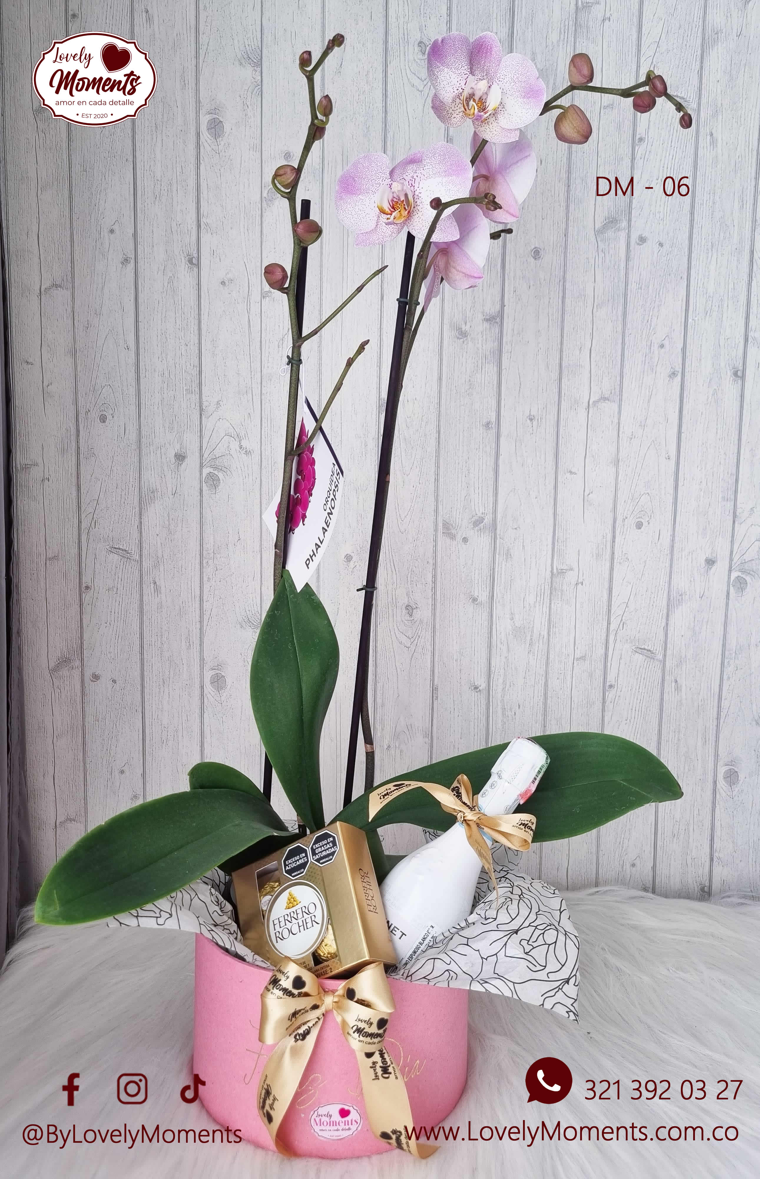 Ancheta Orquídea - Orquideas en Pereira