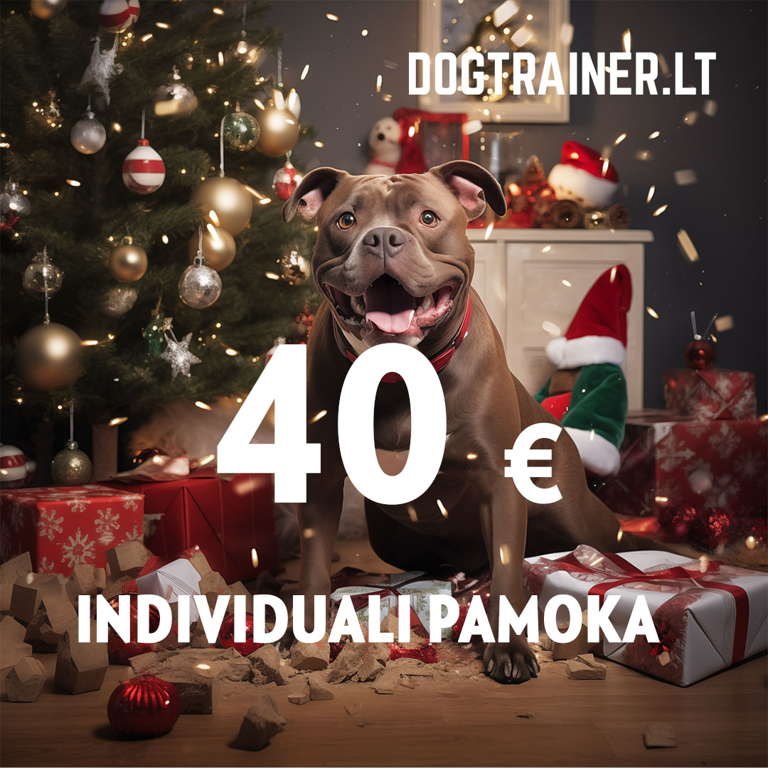 DOGTRAINER.LT dovanų kuponas - INDIVIDUALI PAMOKA