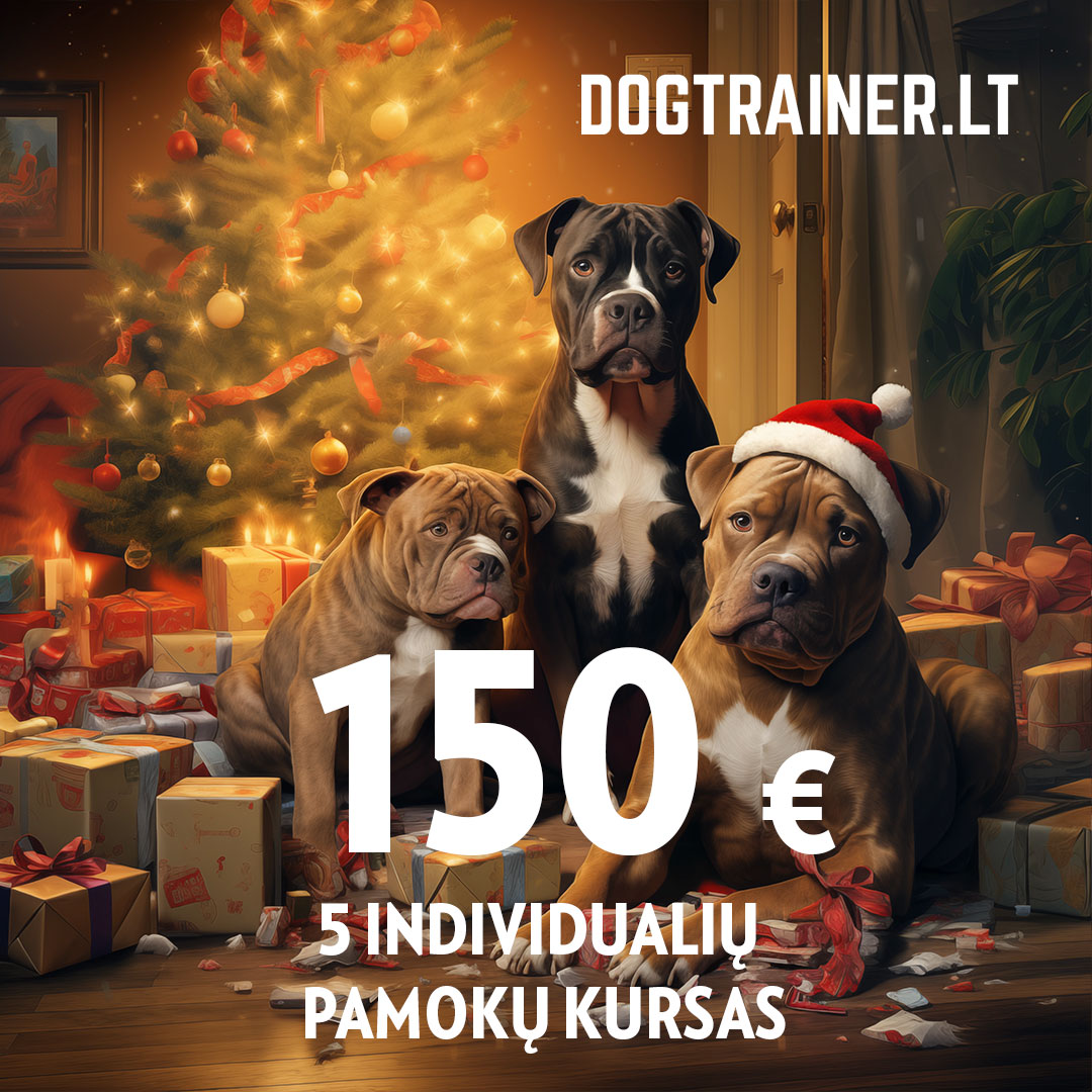 DOGTRAINER.LT dovanų kuponas - INDIVIDUALIŲ PAMOKŲ KURSAS