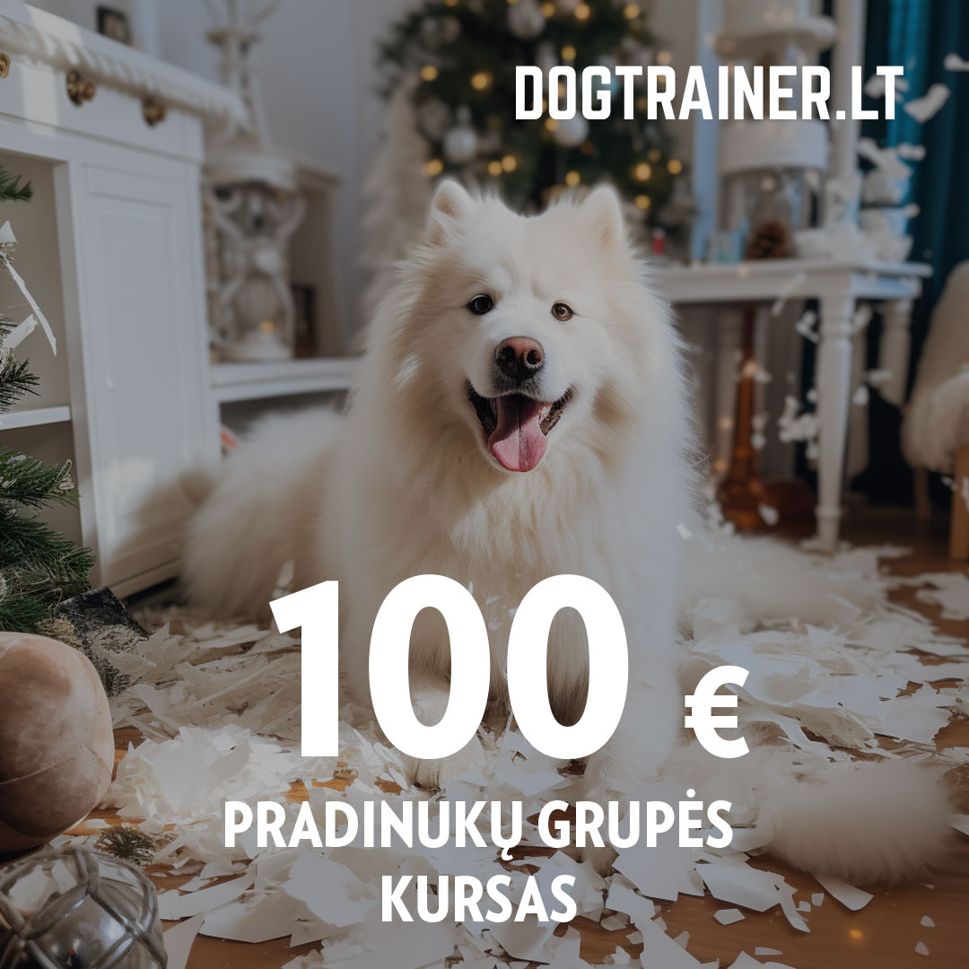DOGTRAINER.LT dovanų kuponas - PRADINUKŲ GRUPĖS PAMOKŲ KURSAS