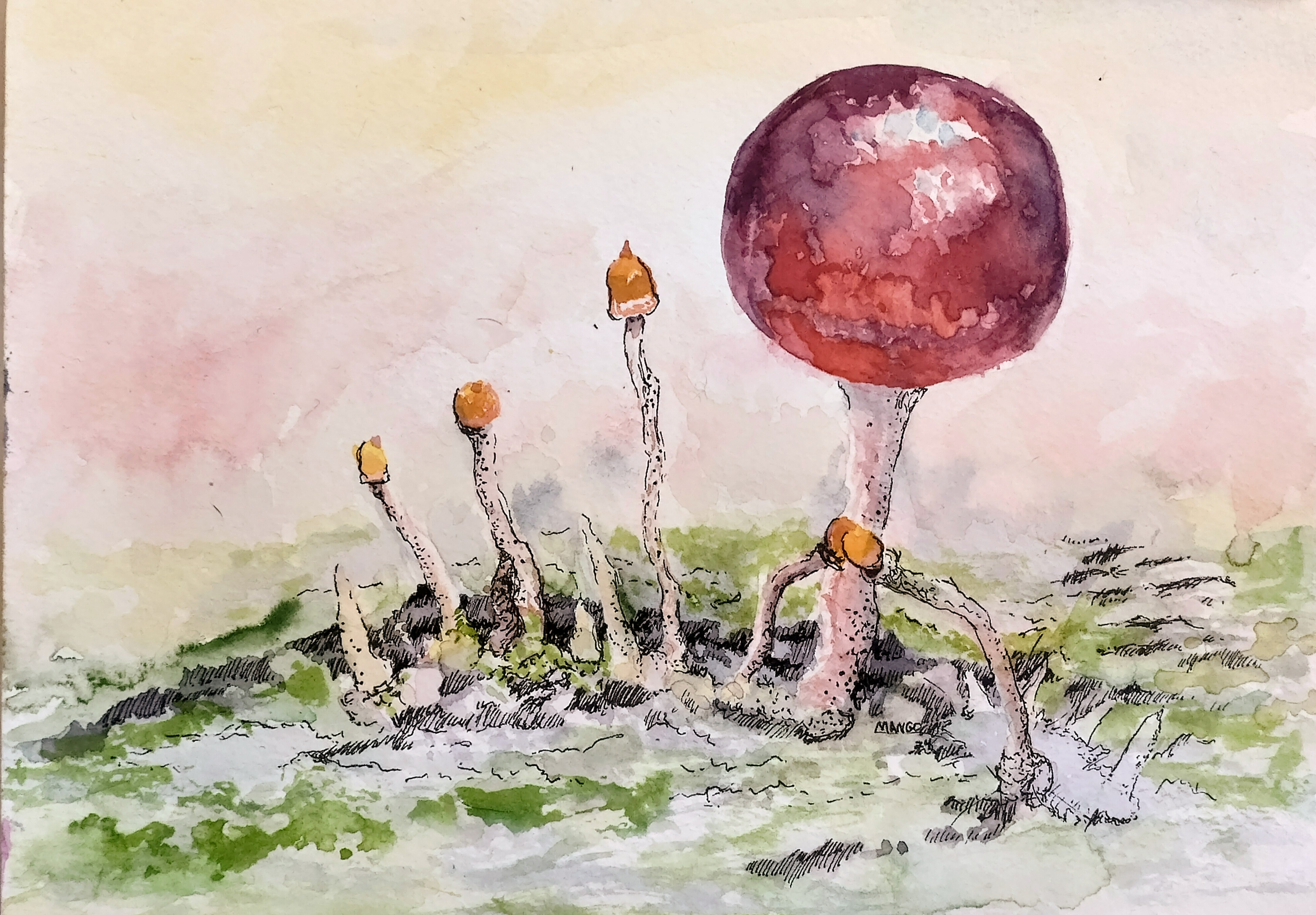 Fungal Balloon