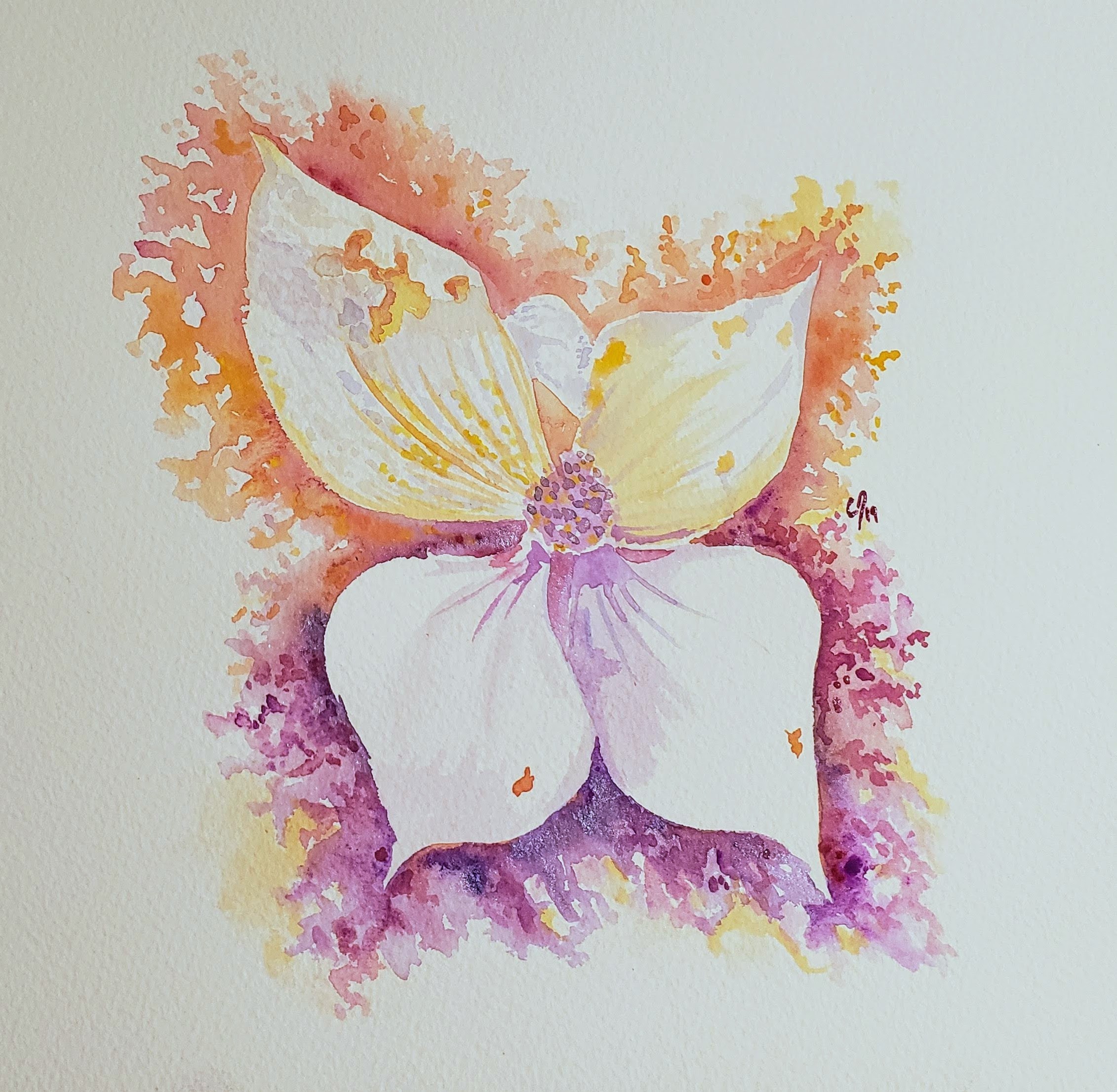 Butterfly or Flower? 