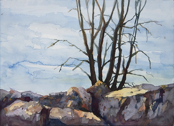Lake Ontario, 9x13 in