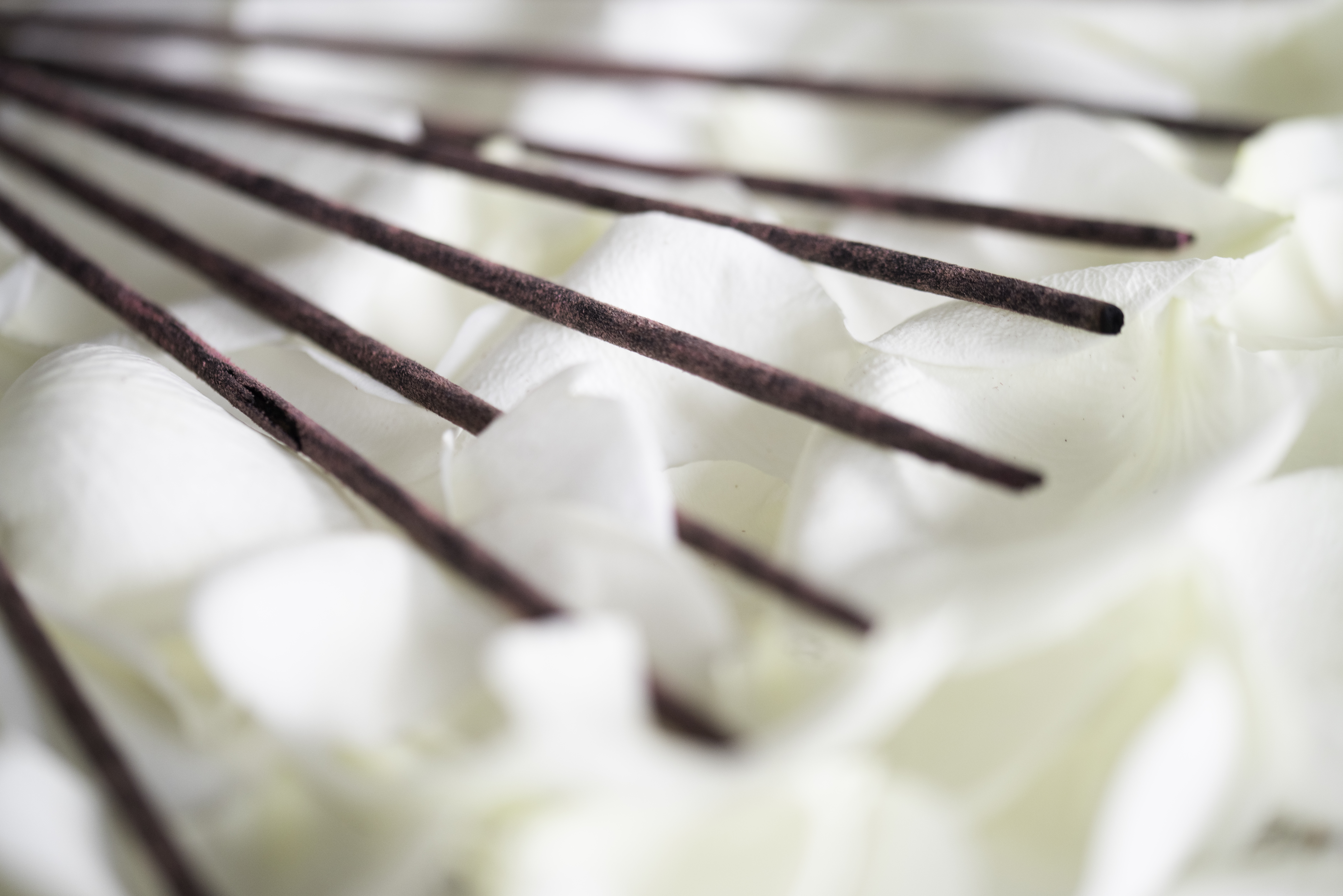 Nišinių smilkalų mėginukų rinkinys, 14vnt.