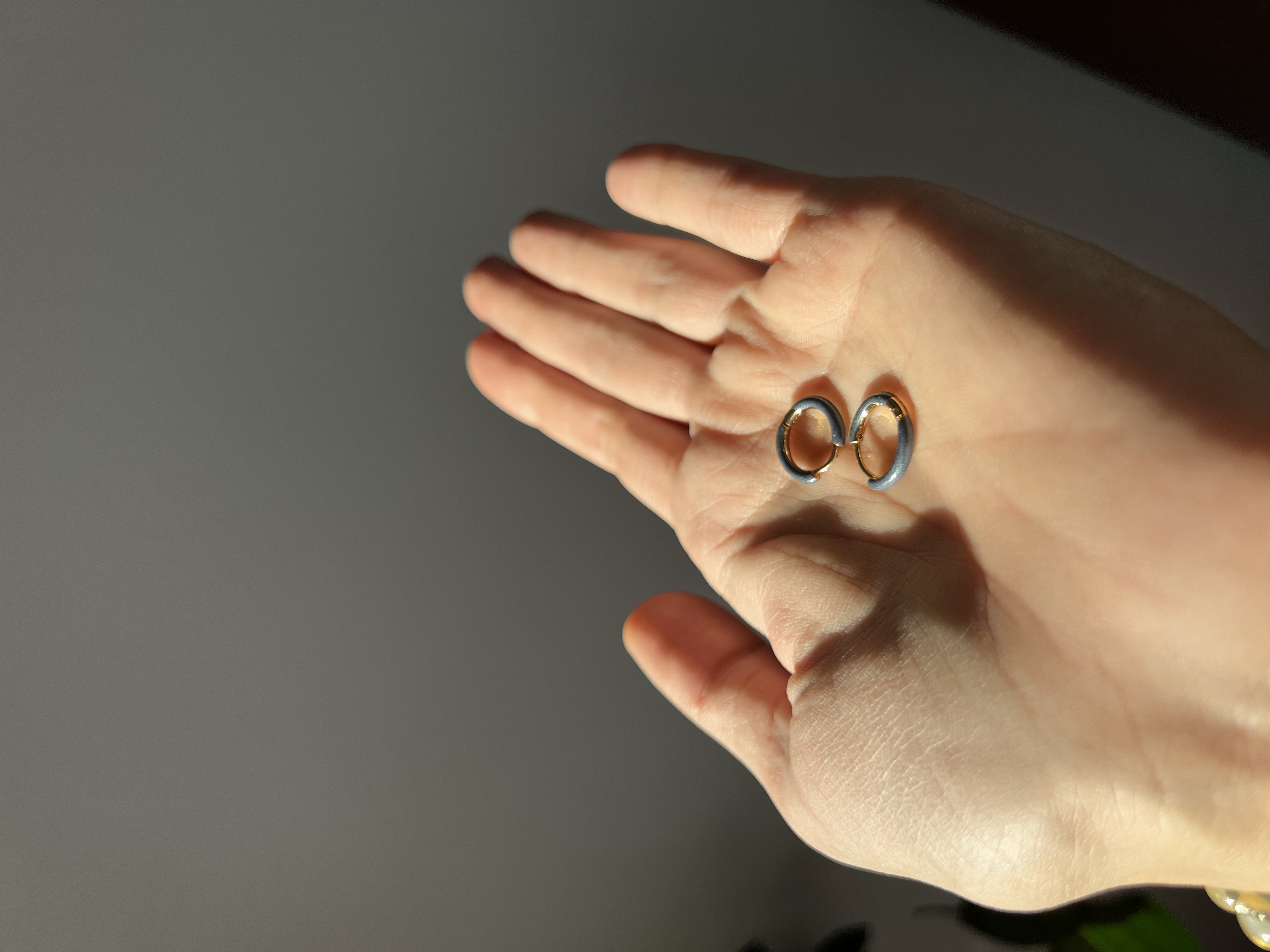 Nerūdijančio plieno auskarai rinkutės