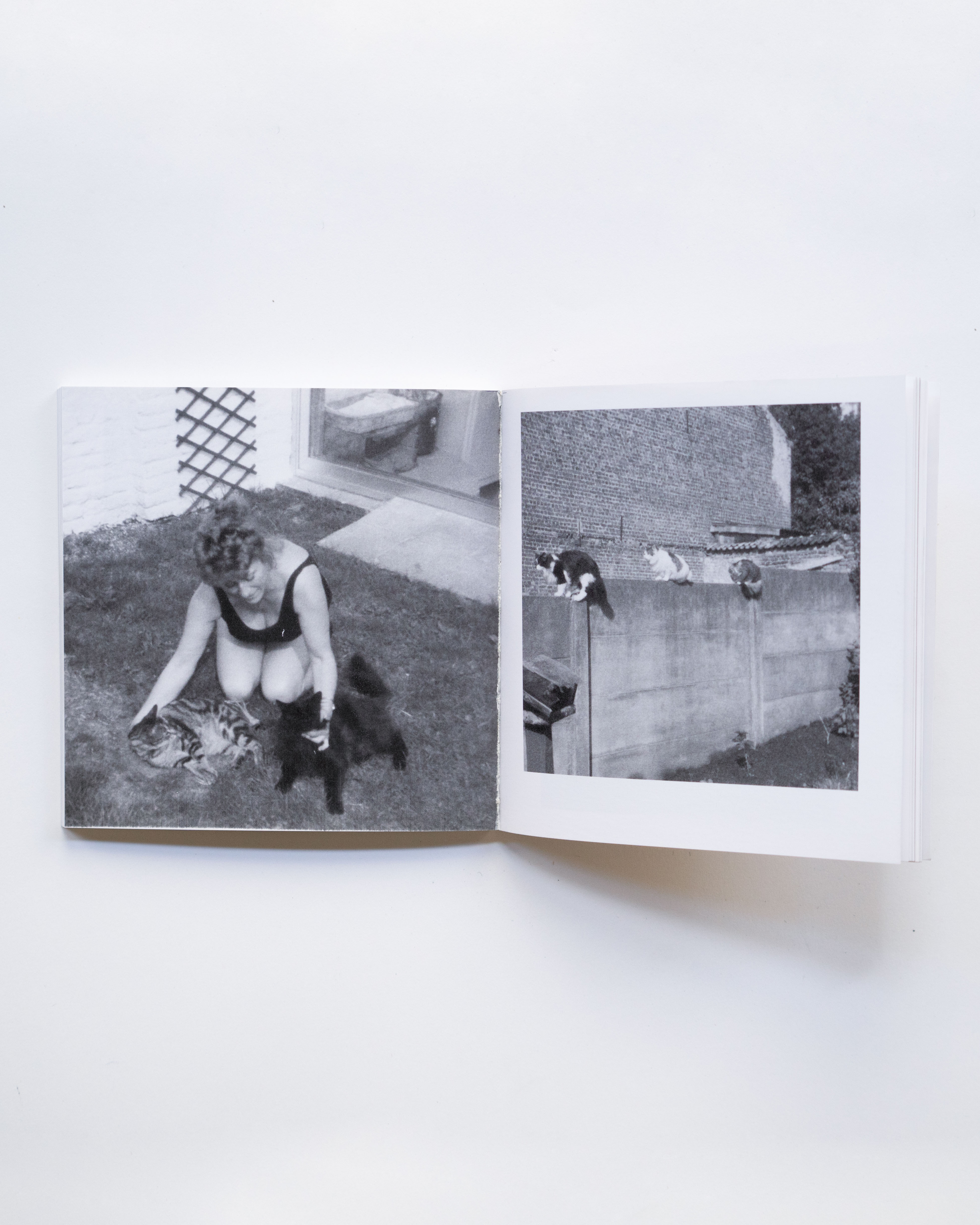 Laura Geurten & Ward Zwart 'Ulvehund'