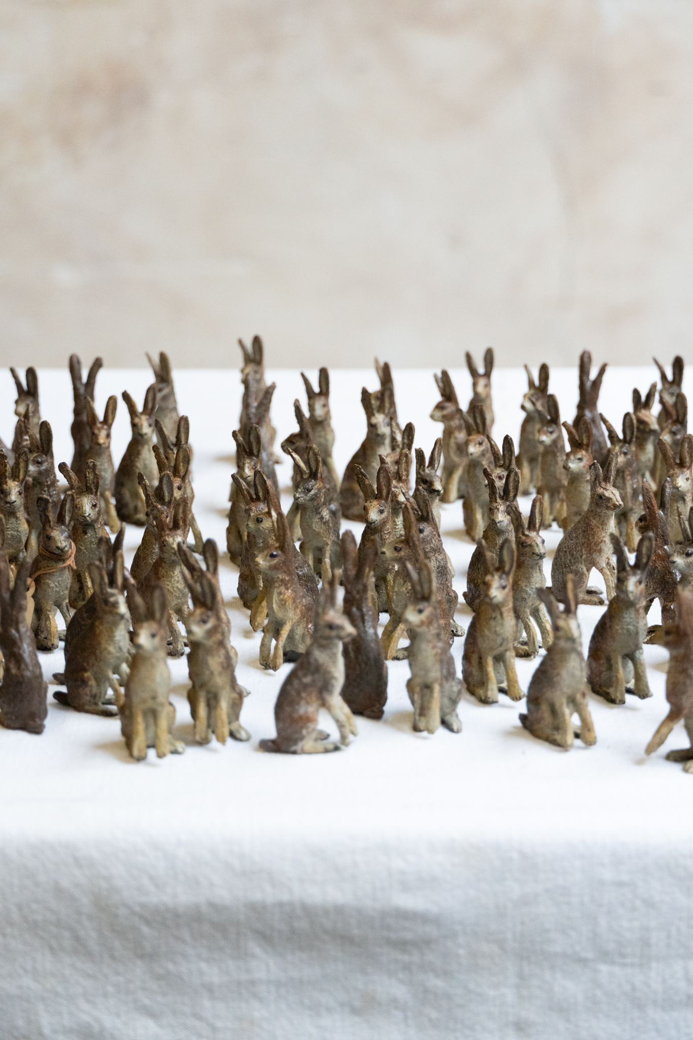 100 Lineol Hares