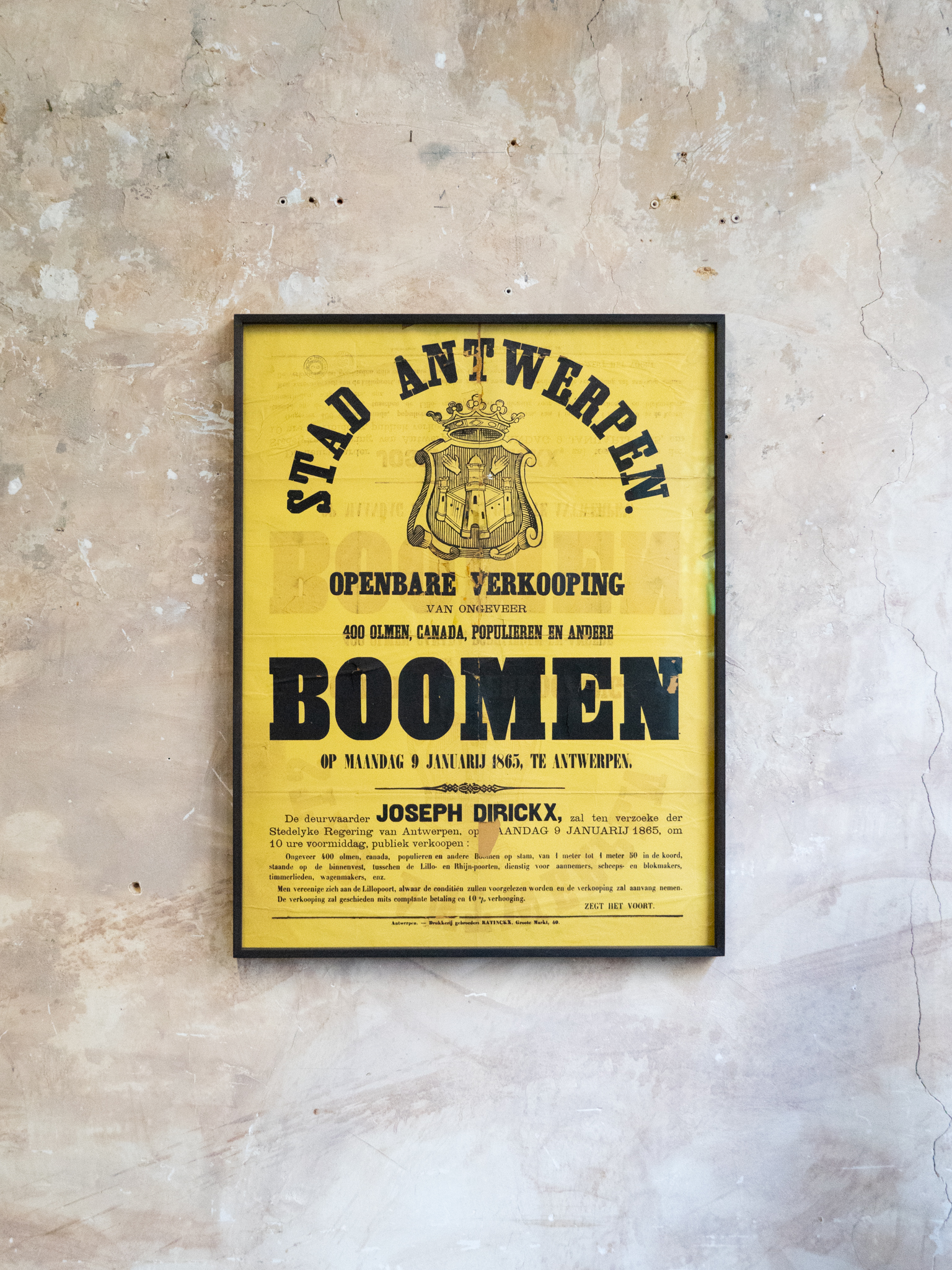Boomen, 1865