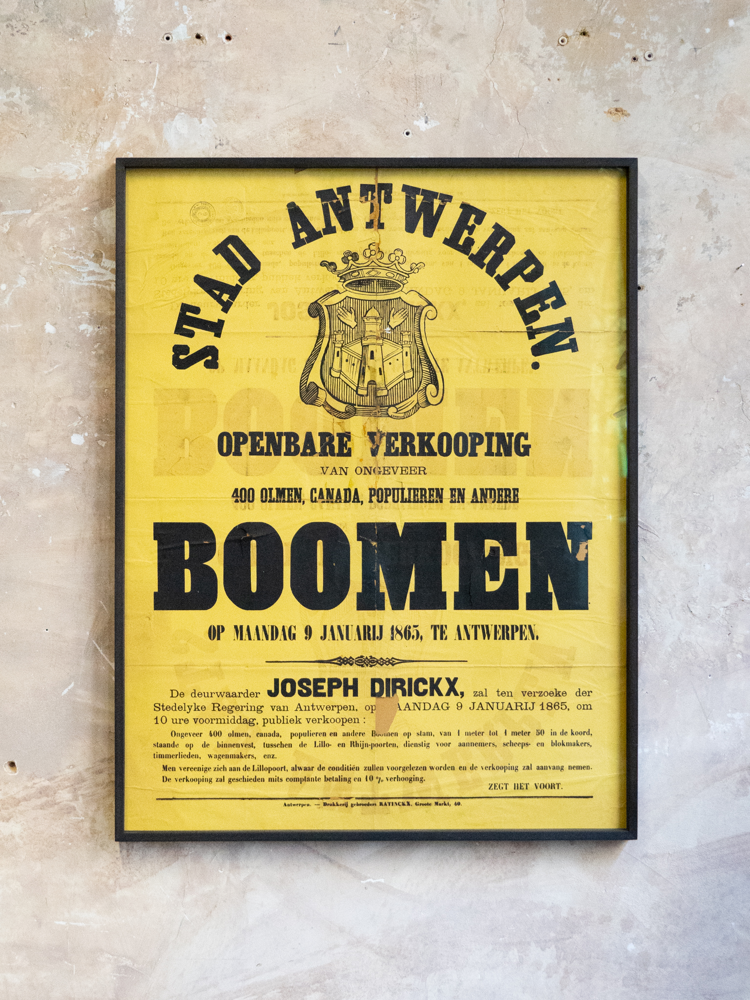 Boomen, 1865