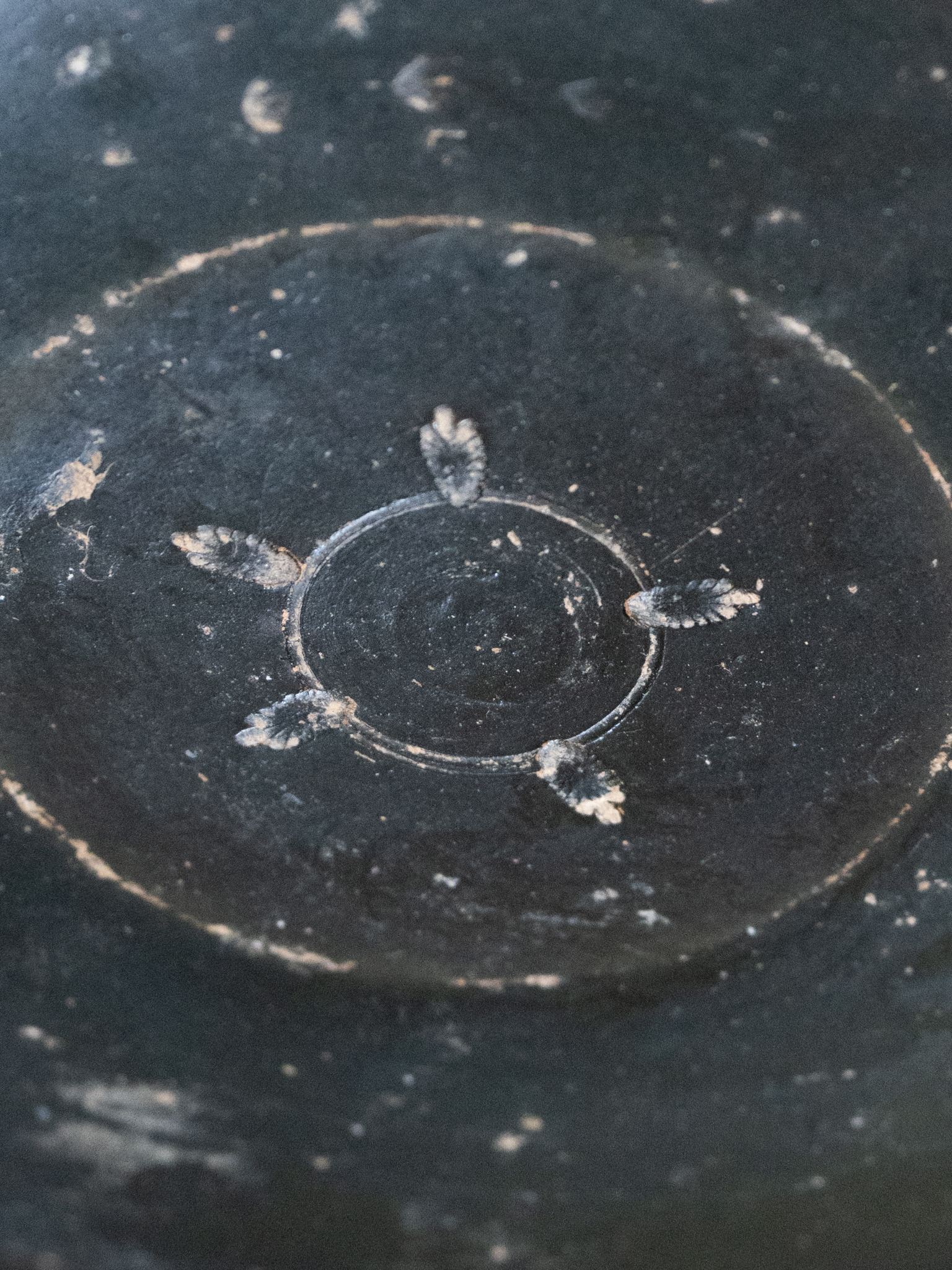 Black-Glazed Dish, Magna Graecia