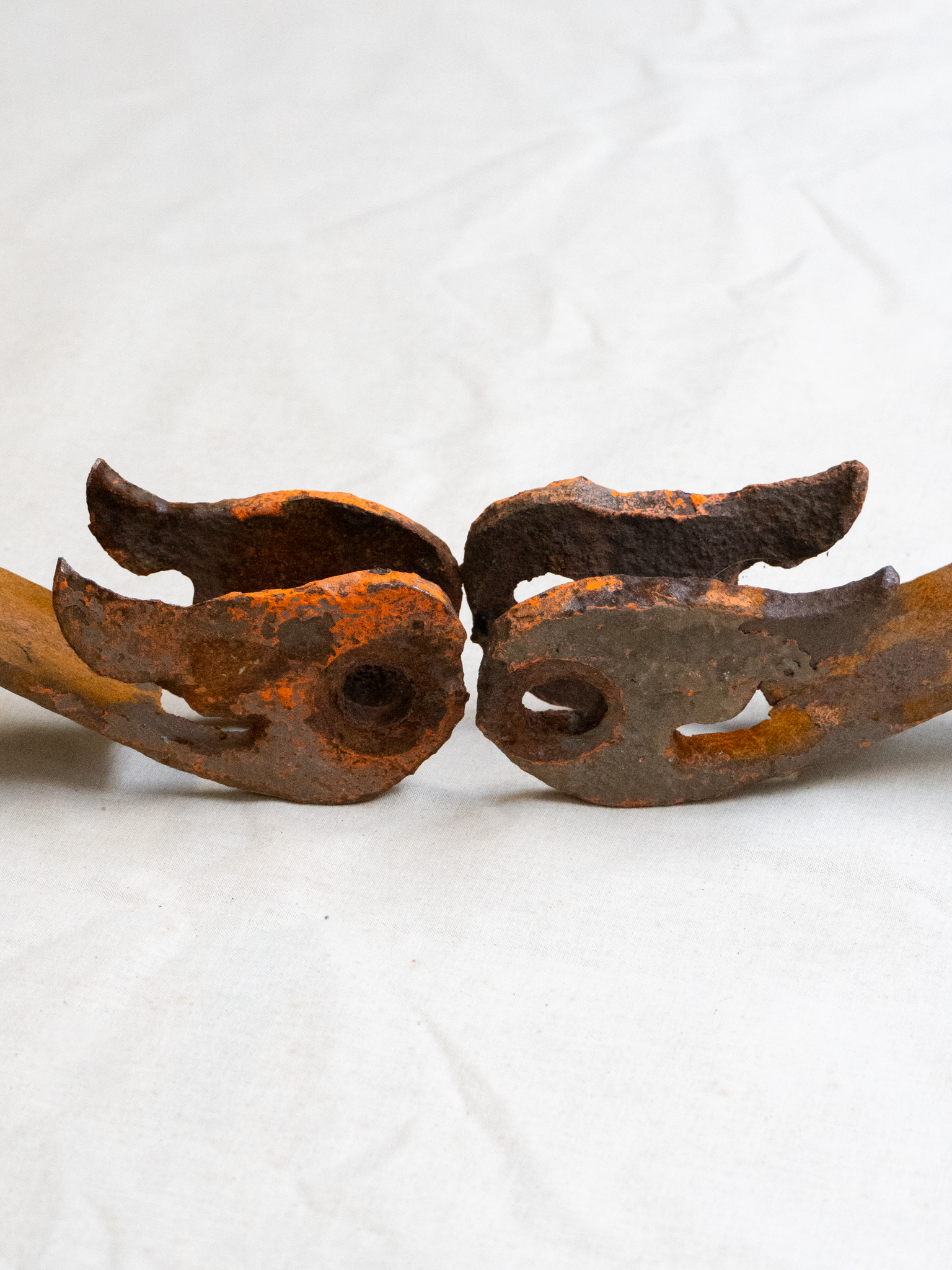 Iron Ornaments From Antwerp Central Station