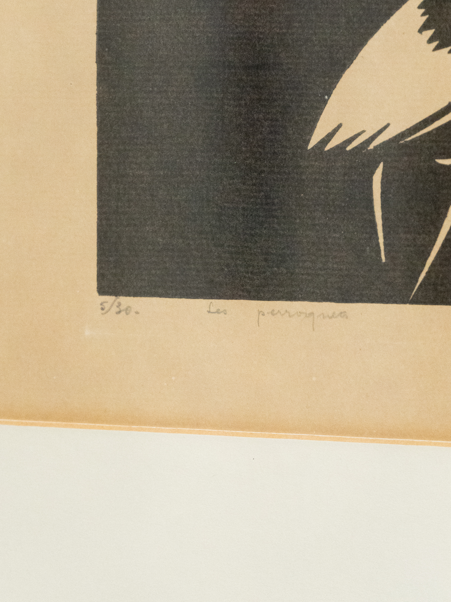 Jan-Frans Cantré, 'Les Perroquets', Woodcut, 1921