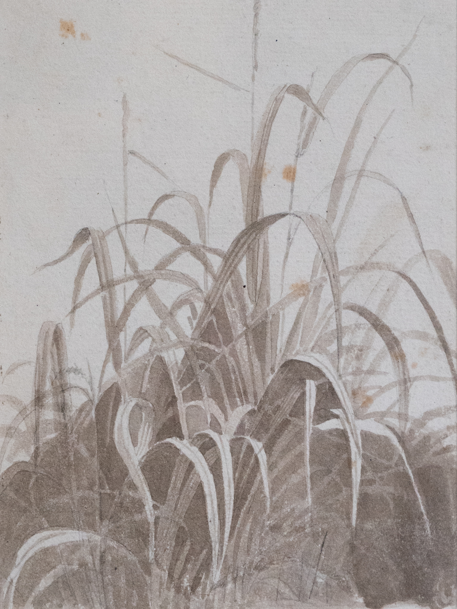 Plein-Air Grass Watercolour