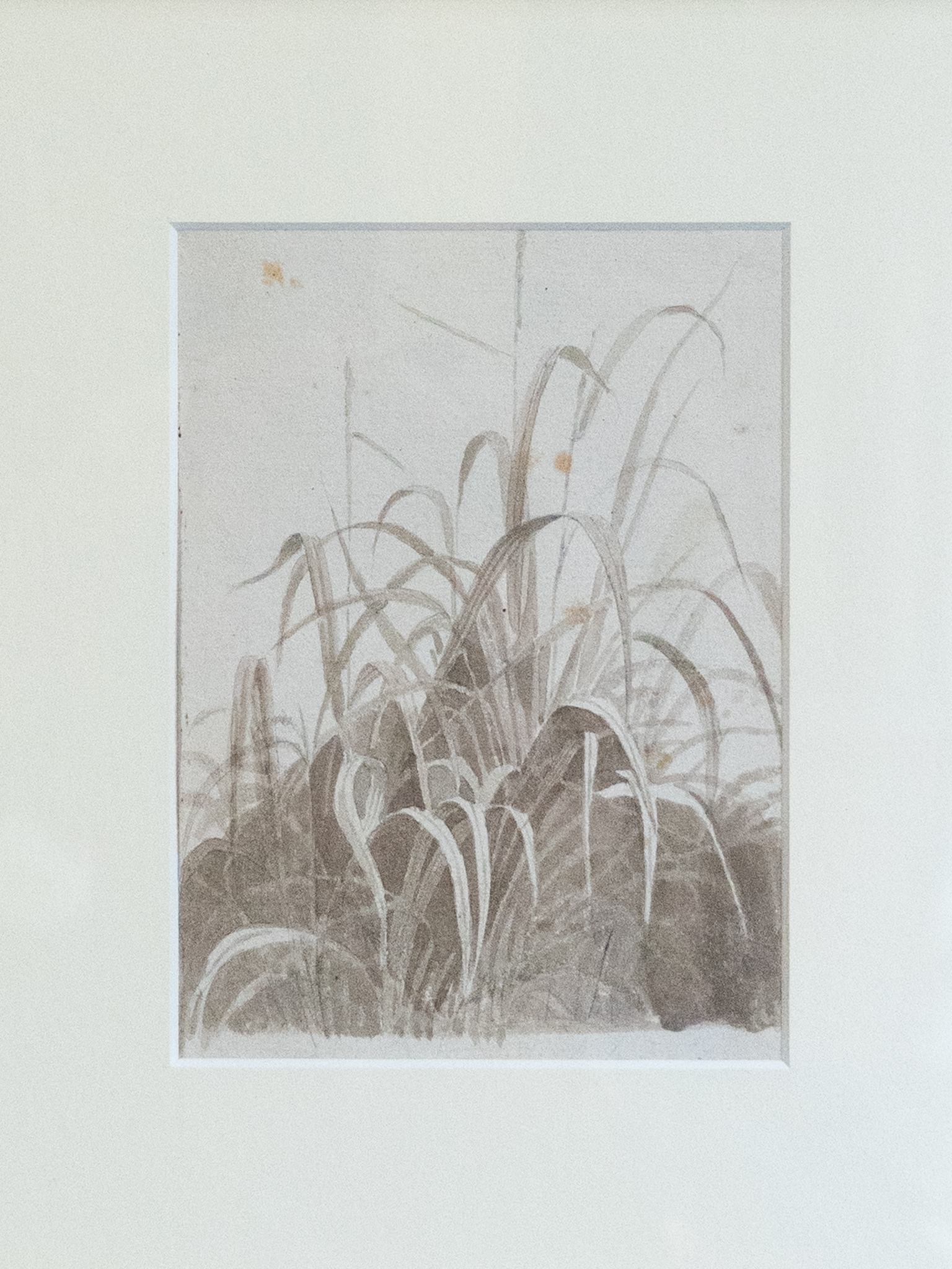 Plein-Air Grass Watercolour