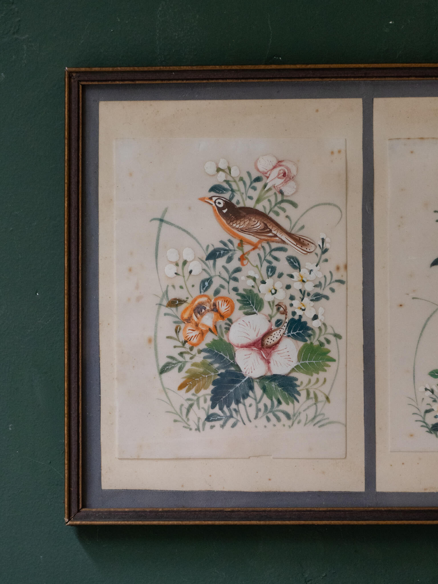 Chinese 'Hua Niao' Paintings