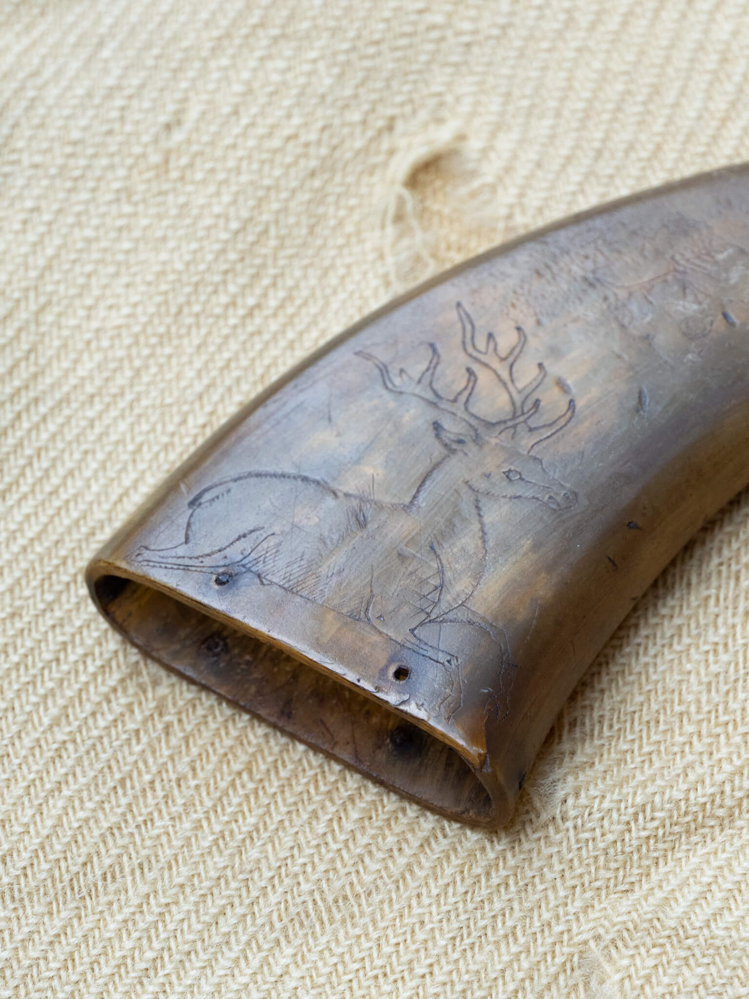 Diana Powder Horn