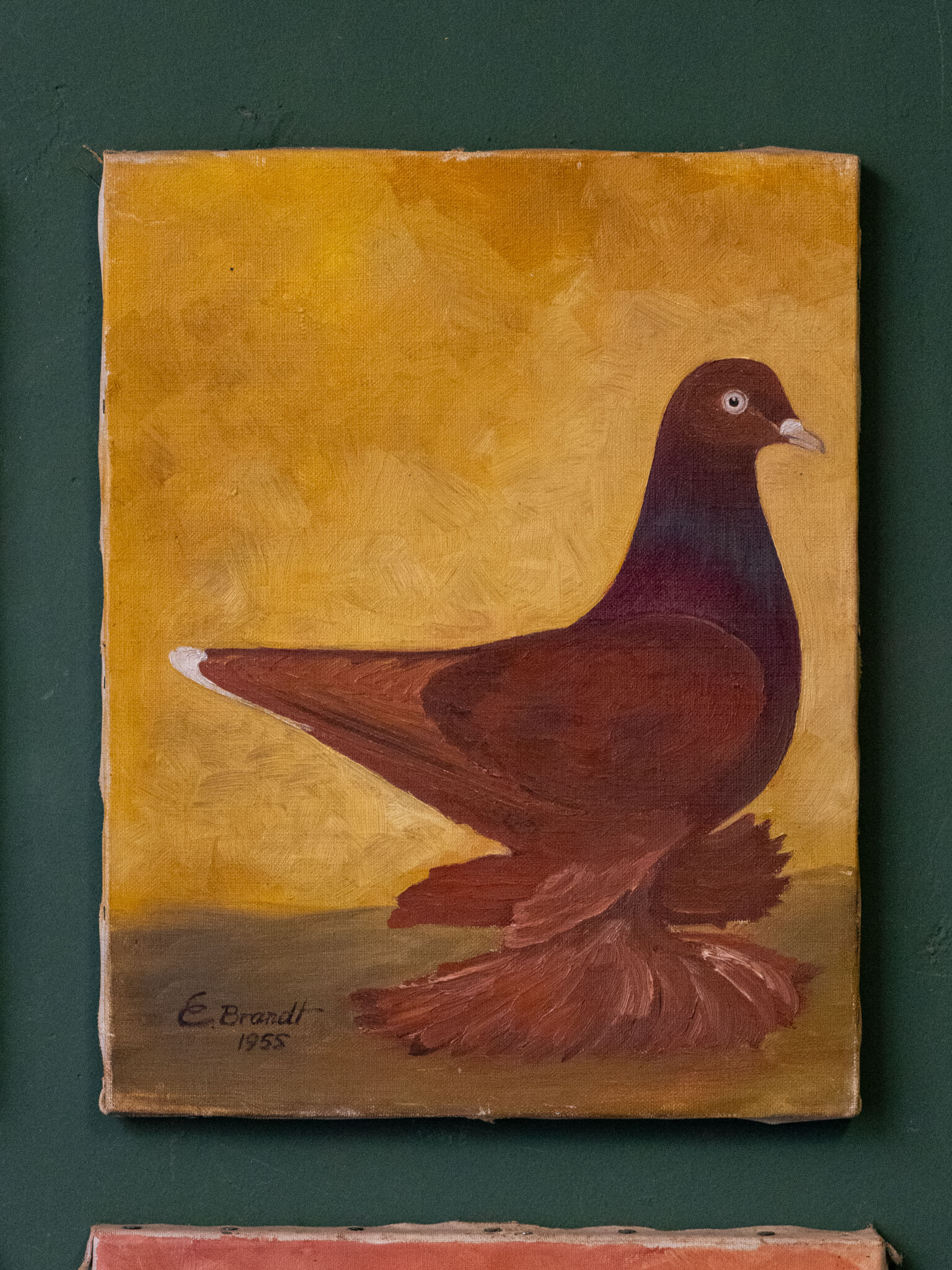 E. Brandt, Pigeon Paintings, 1955
