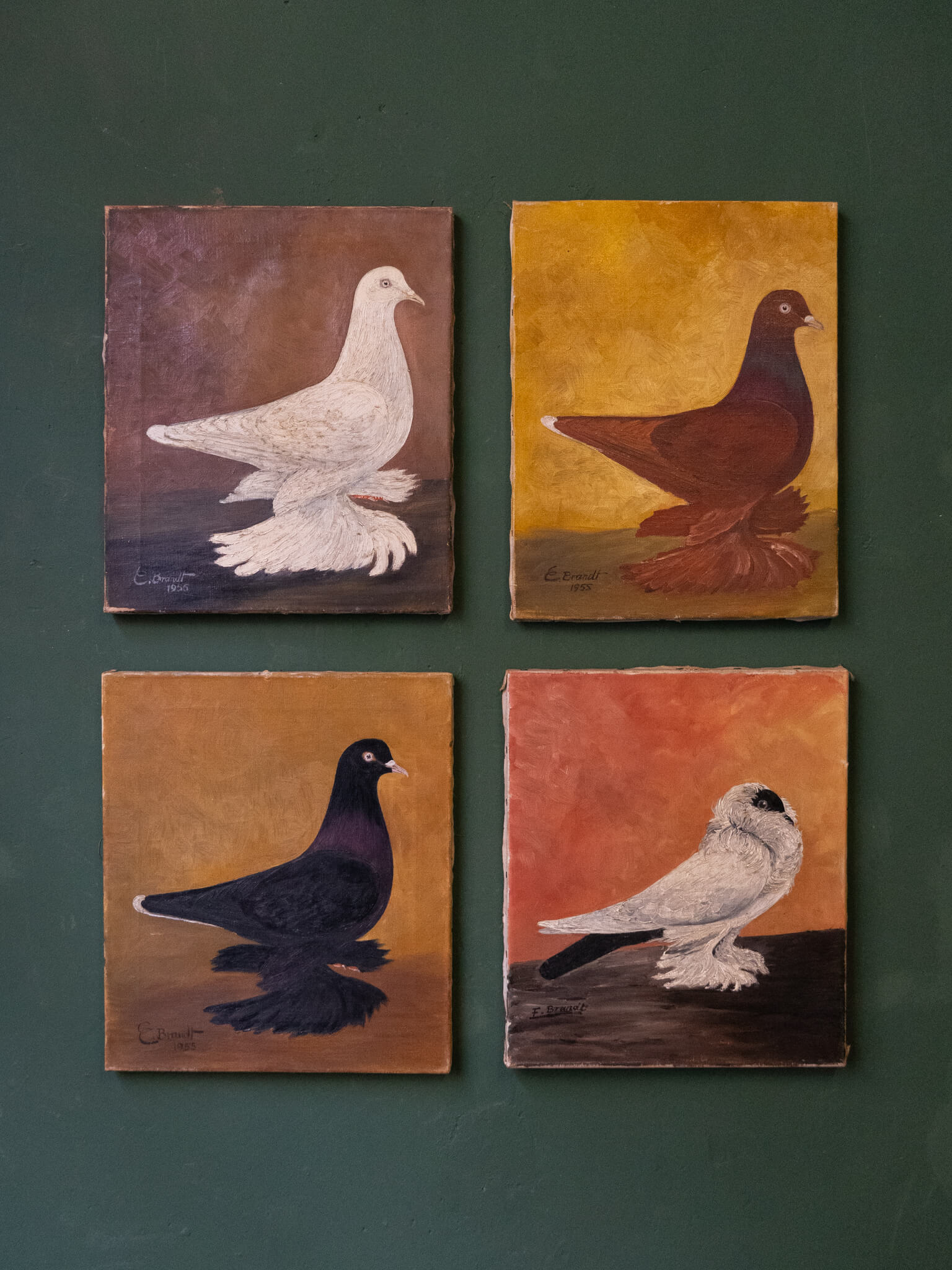 E. Brandt, Pigeon Paintings, 1955