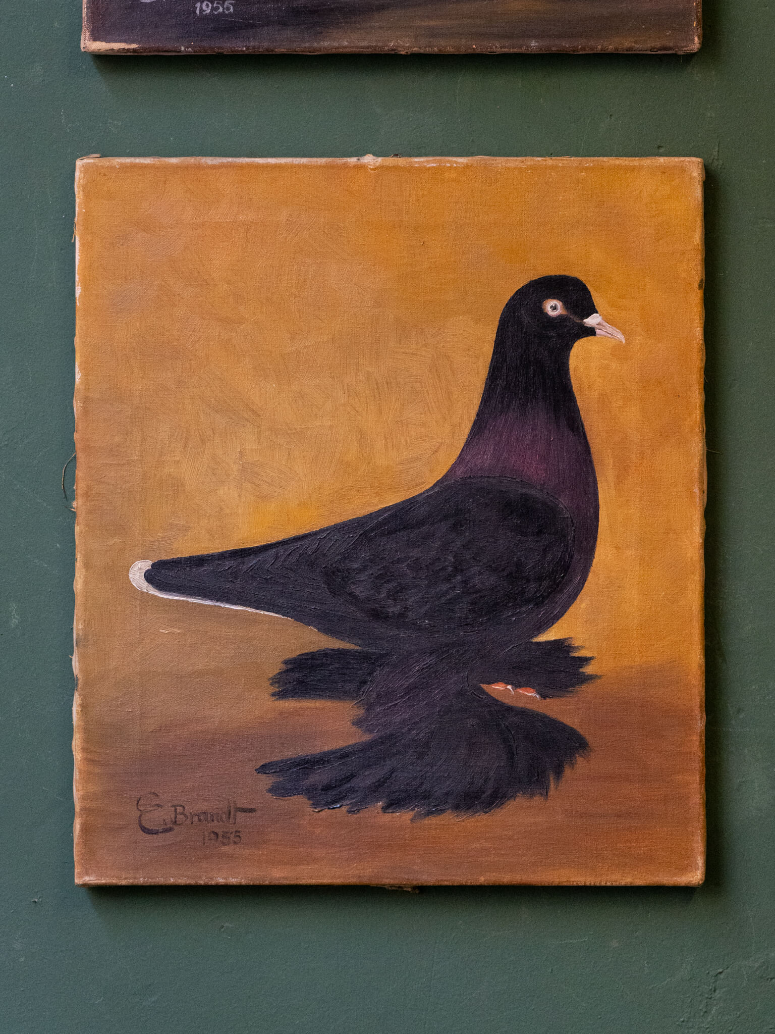 E. Brandt, Pigeon Paintings, 1955