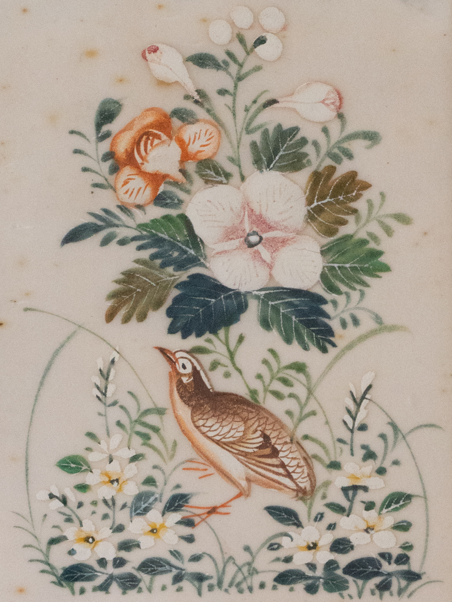 Chinese 'Hua Niao' Paintings