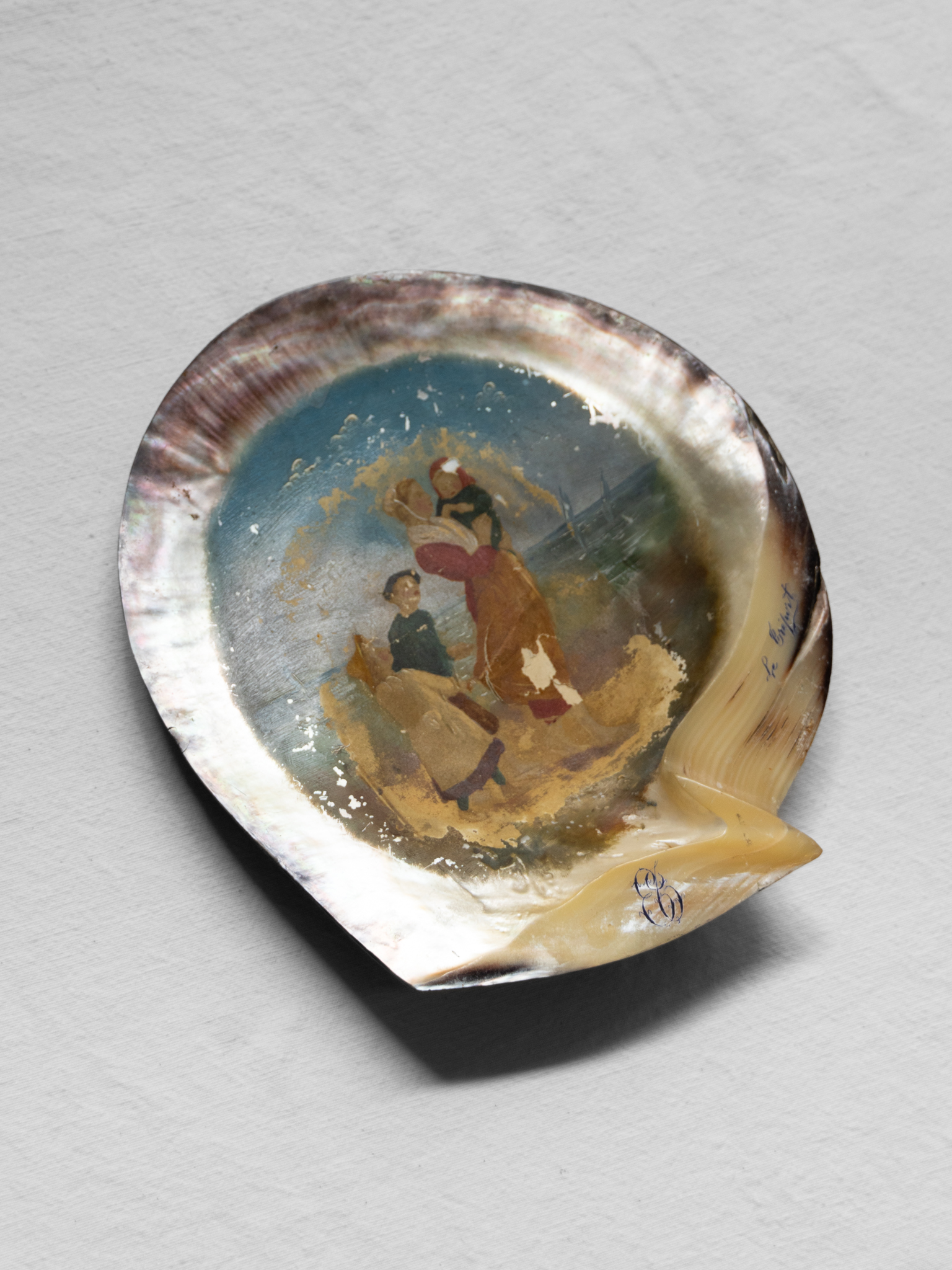 Le Tréport Souvenir Shell