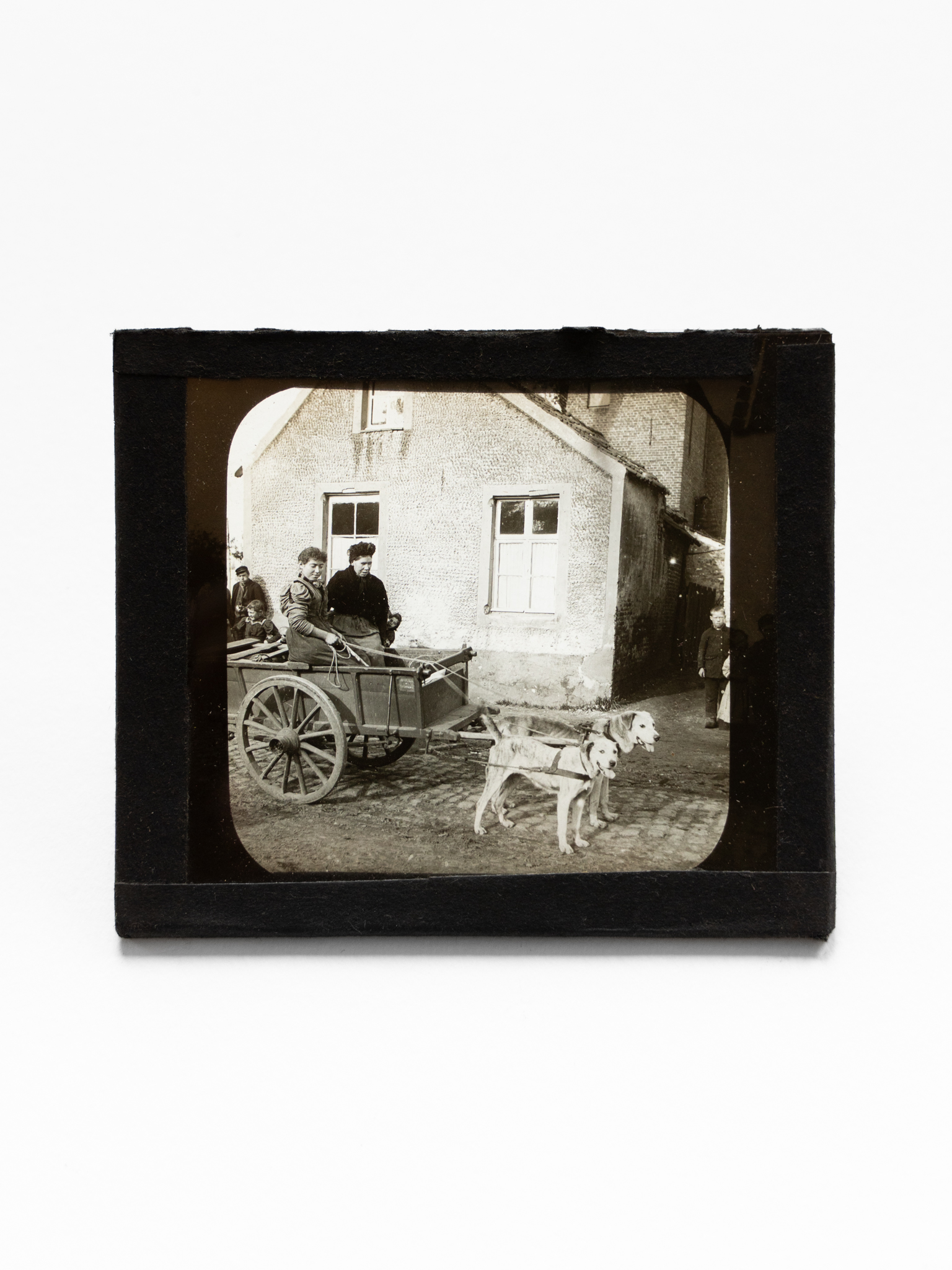 Dog Cart Photo 2