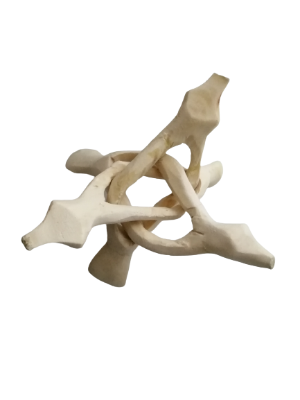 Shell Stand (small)