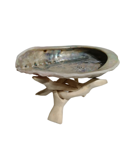 Shell Stand (small)