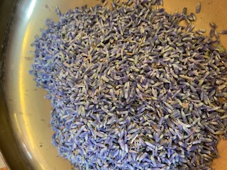 Lavender