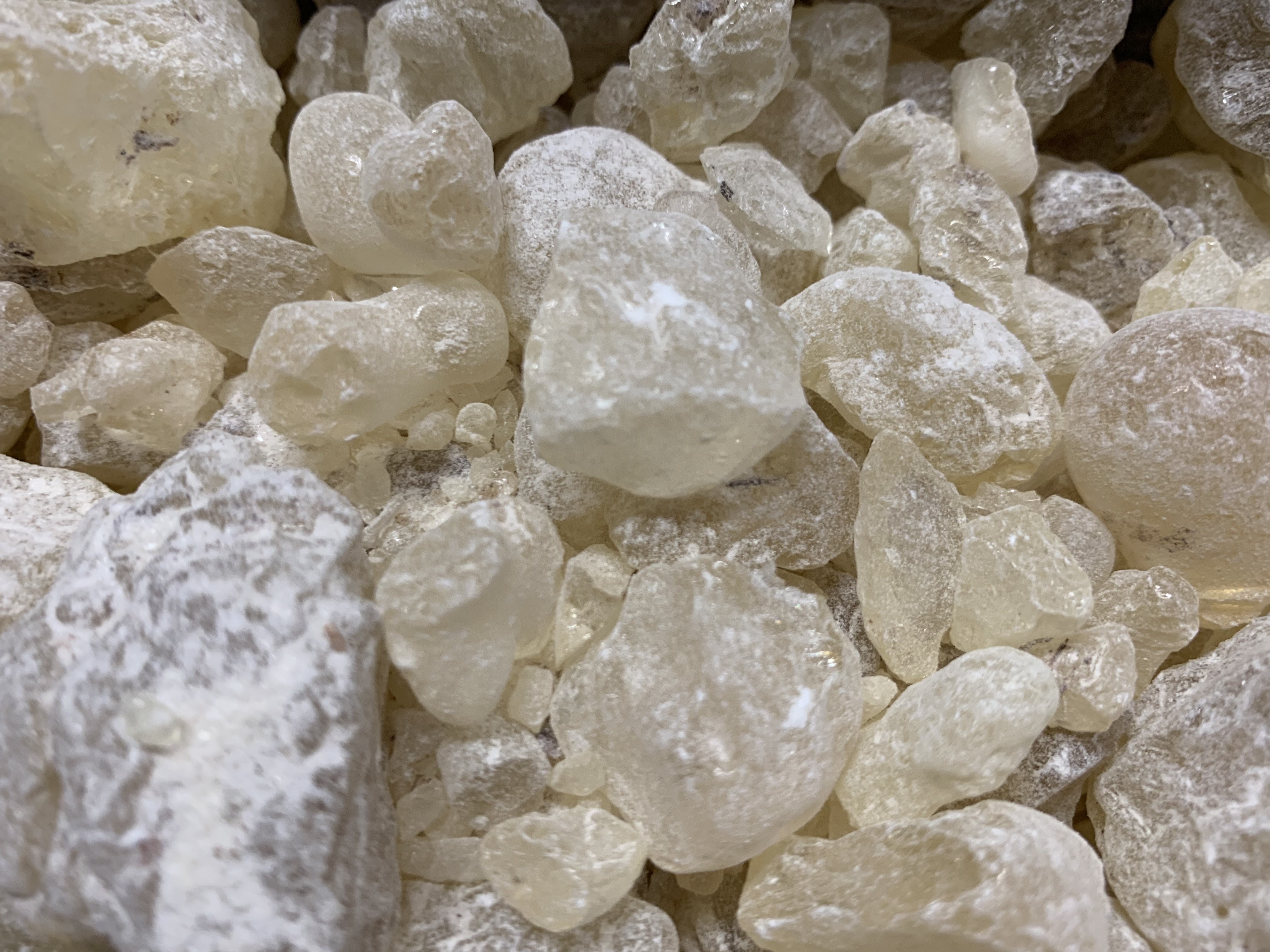 Manila Copal Resin