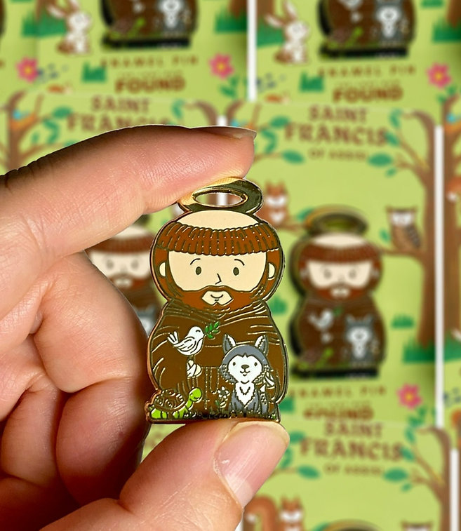 St. Francis of Assisi Pin