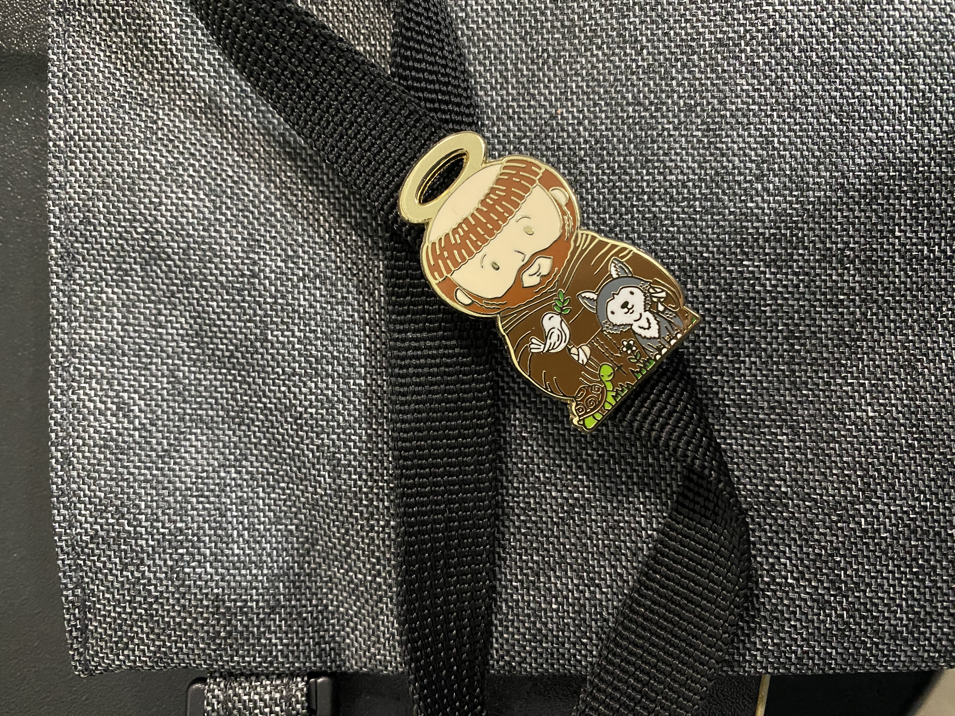 St. Francis of Assisi Pin