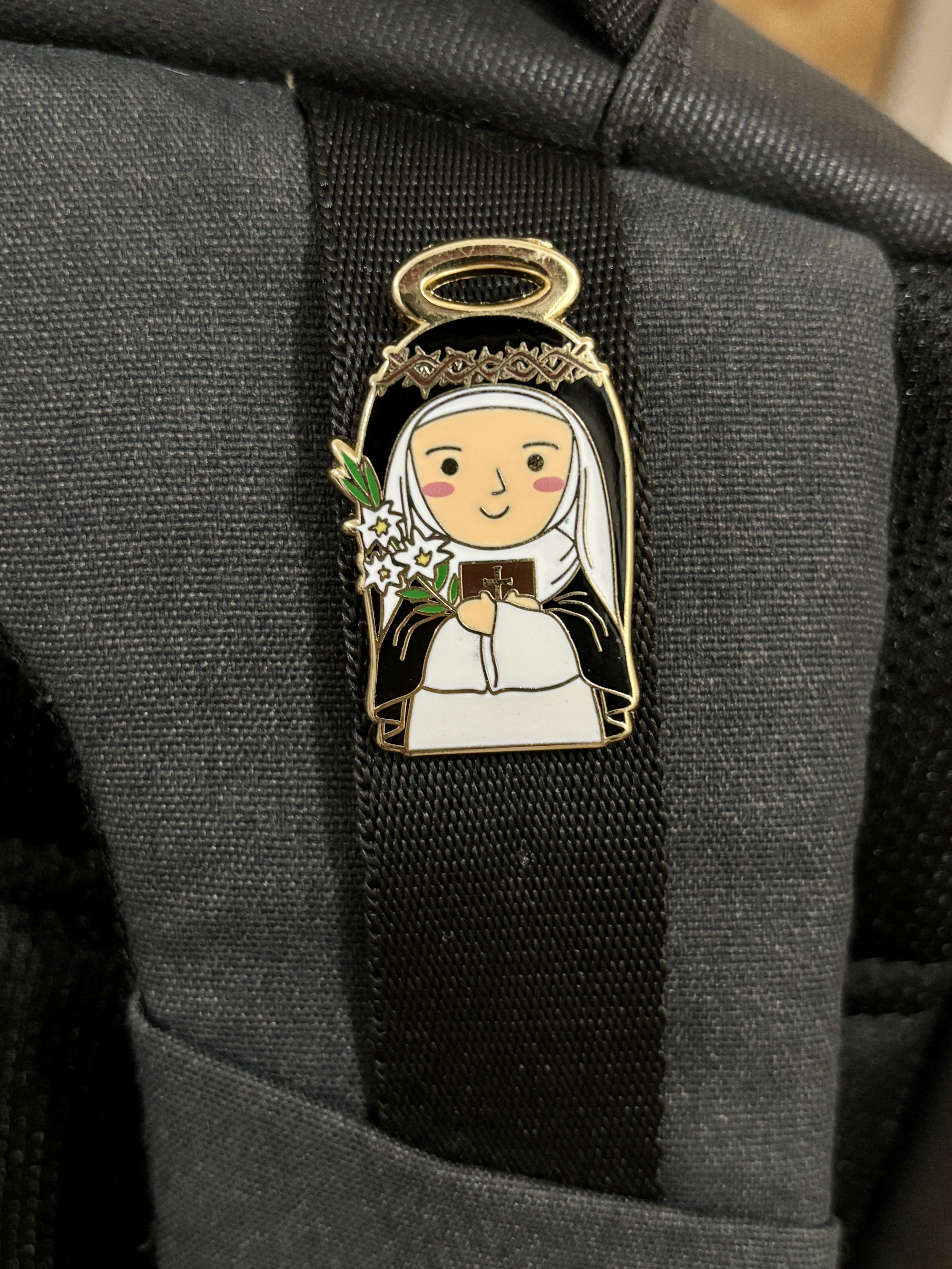 St. Catherine of Siena Pin