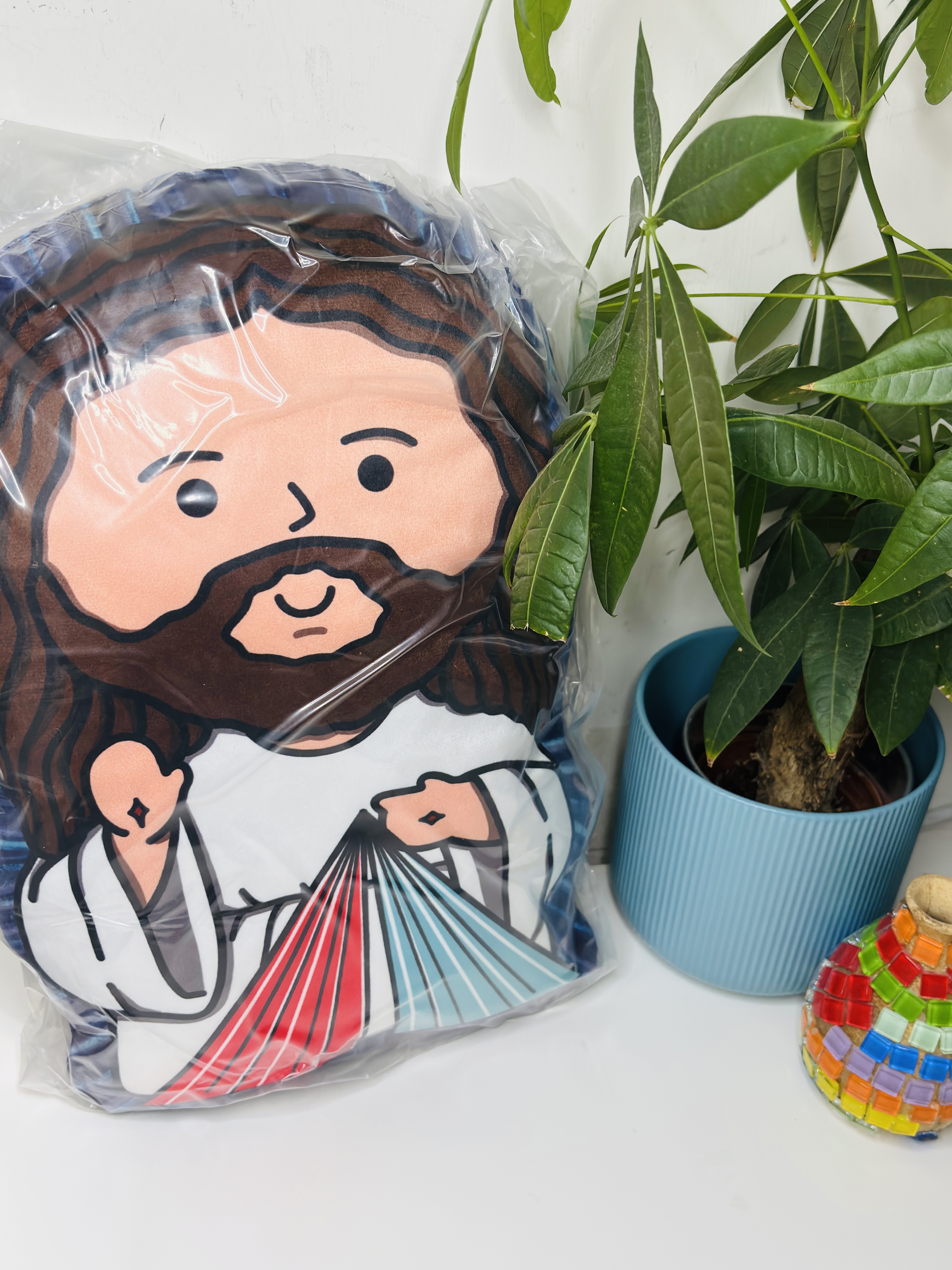 Divine Mercy Pillow