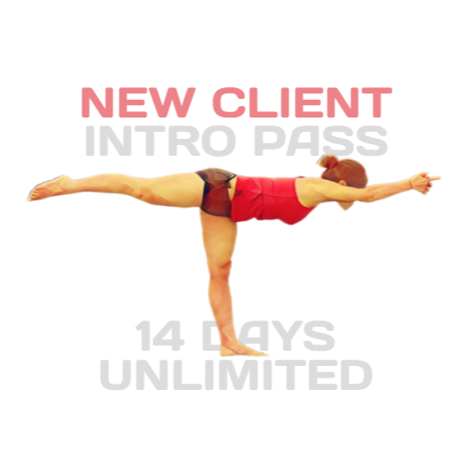 New Client Intro Offer