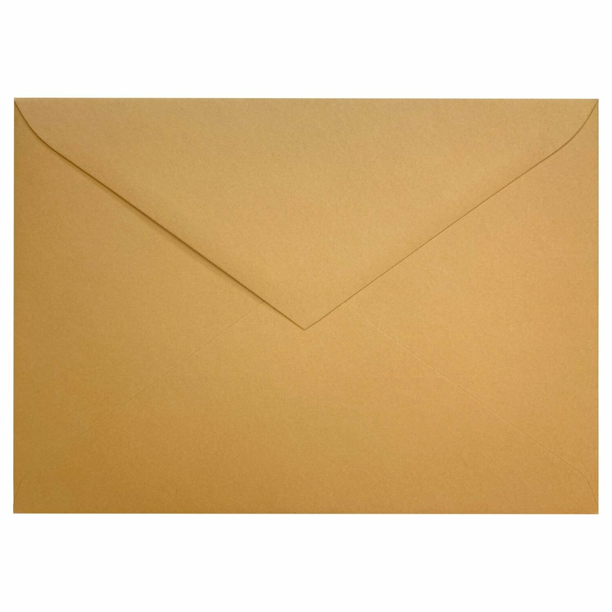 Basic Color Camel