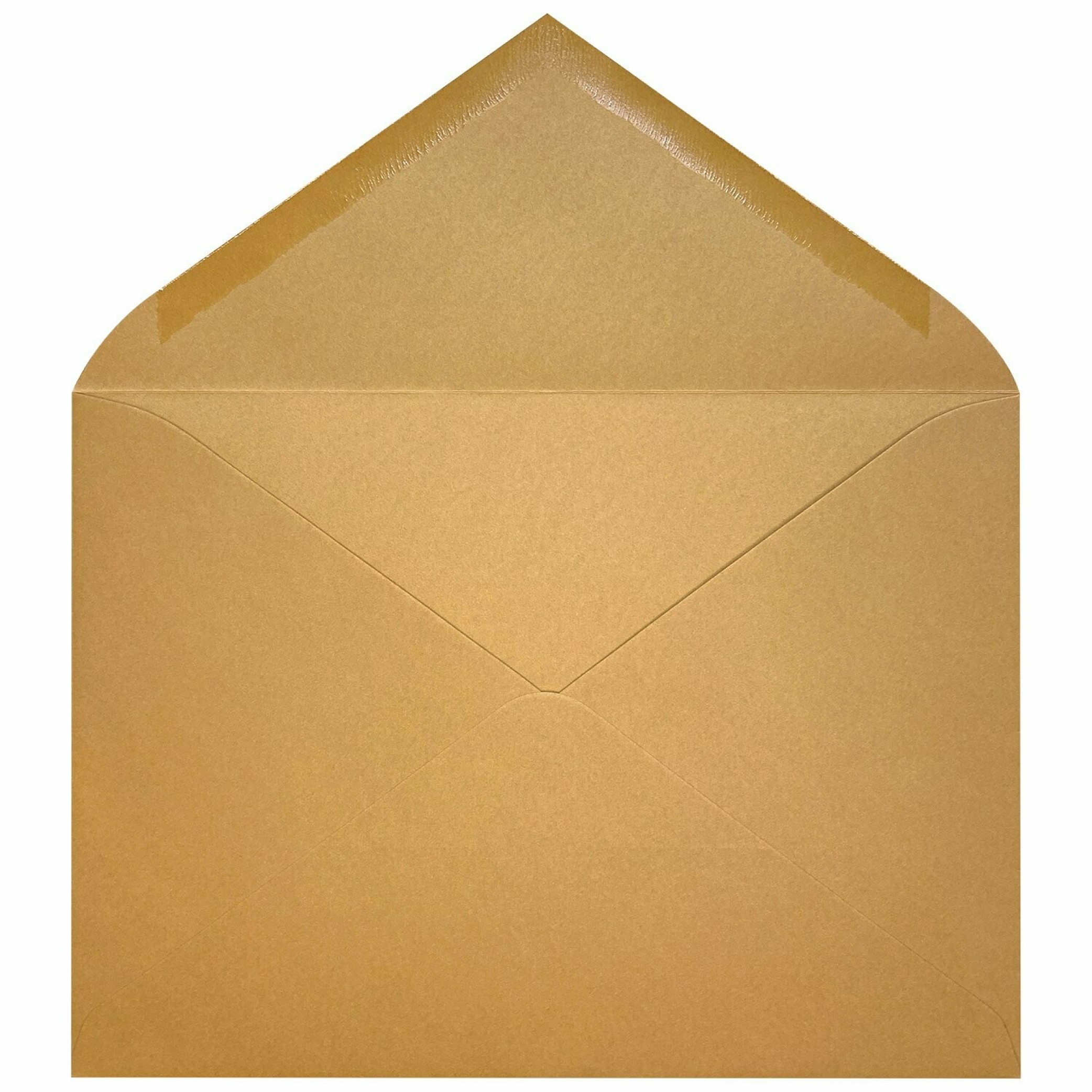 Basic Color Camel